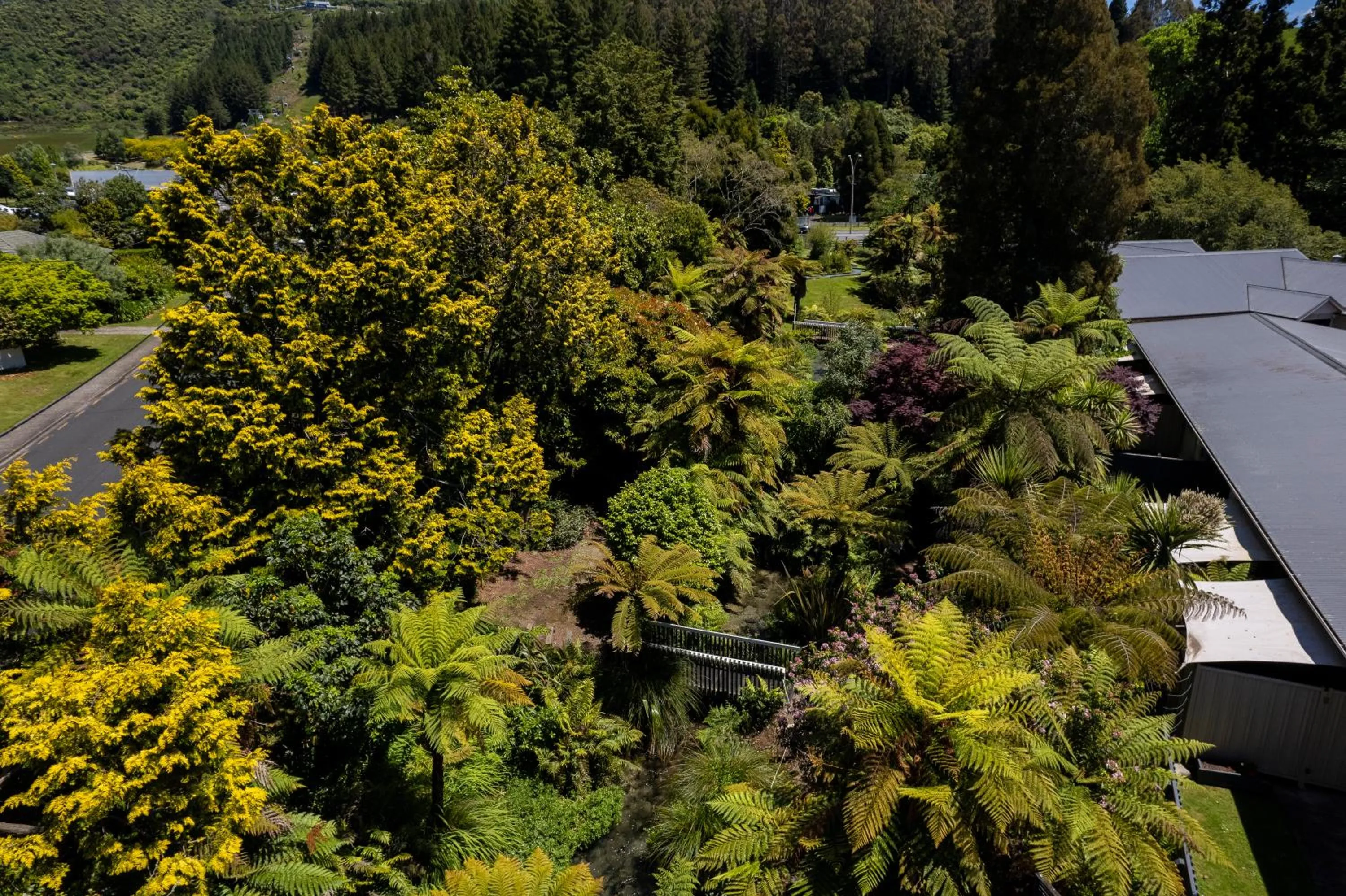 Garden view in Ripple Rotorua