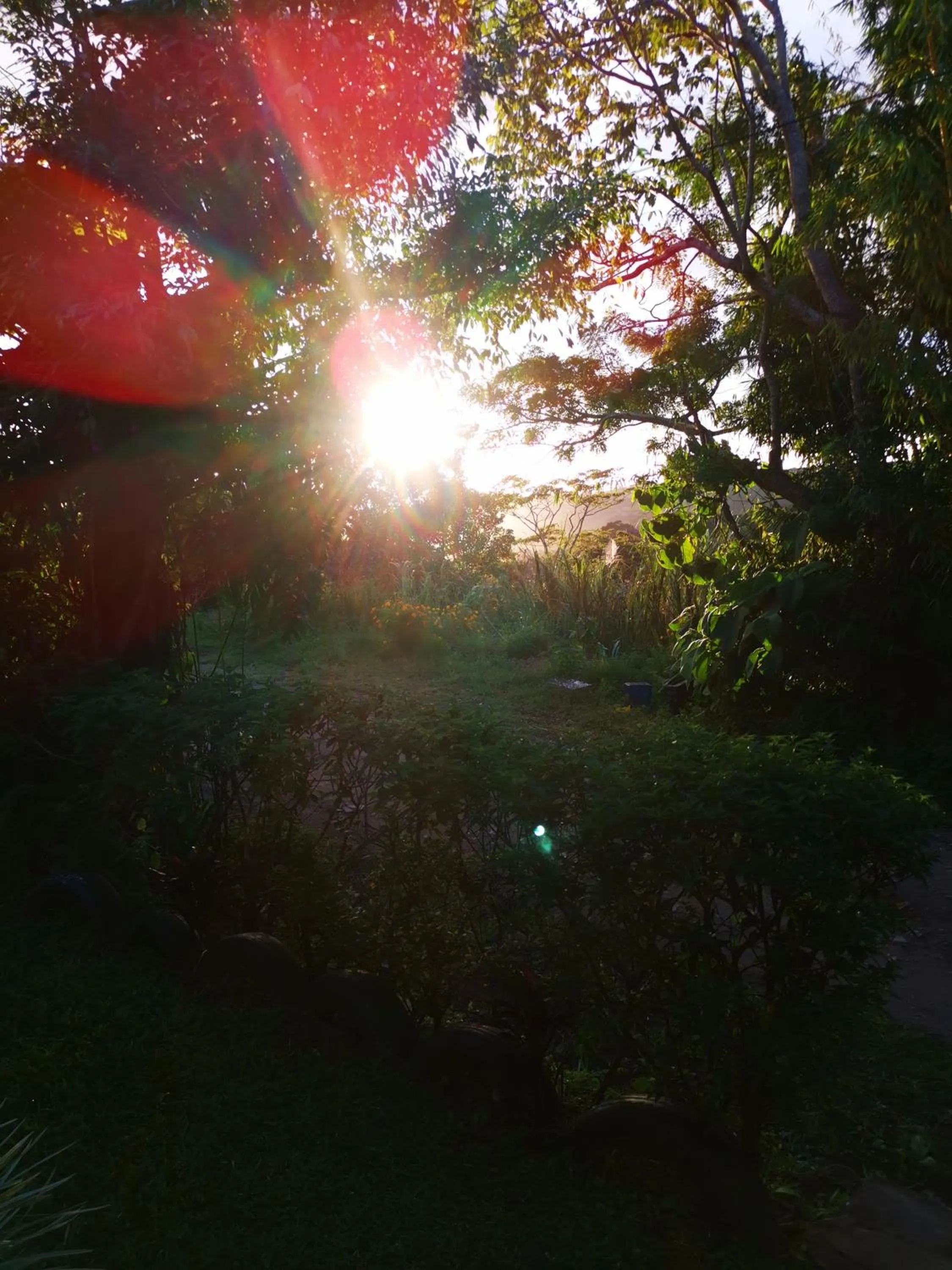 Natural landscape in Casa Copalchi