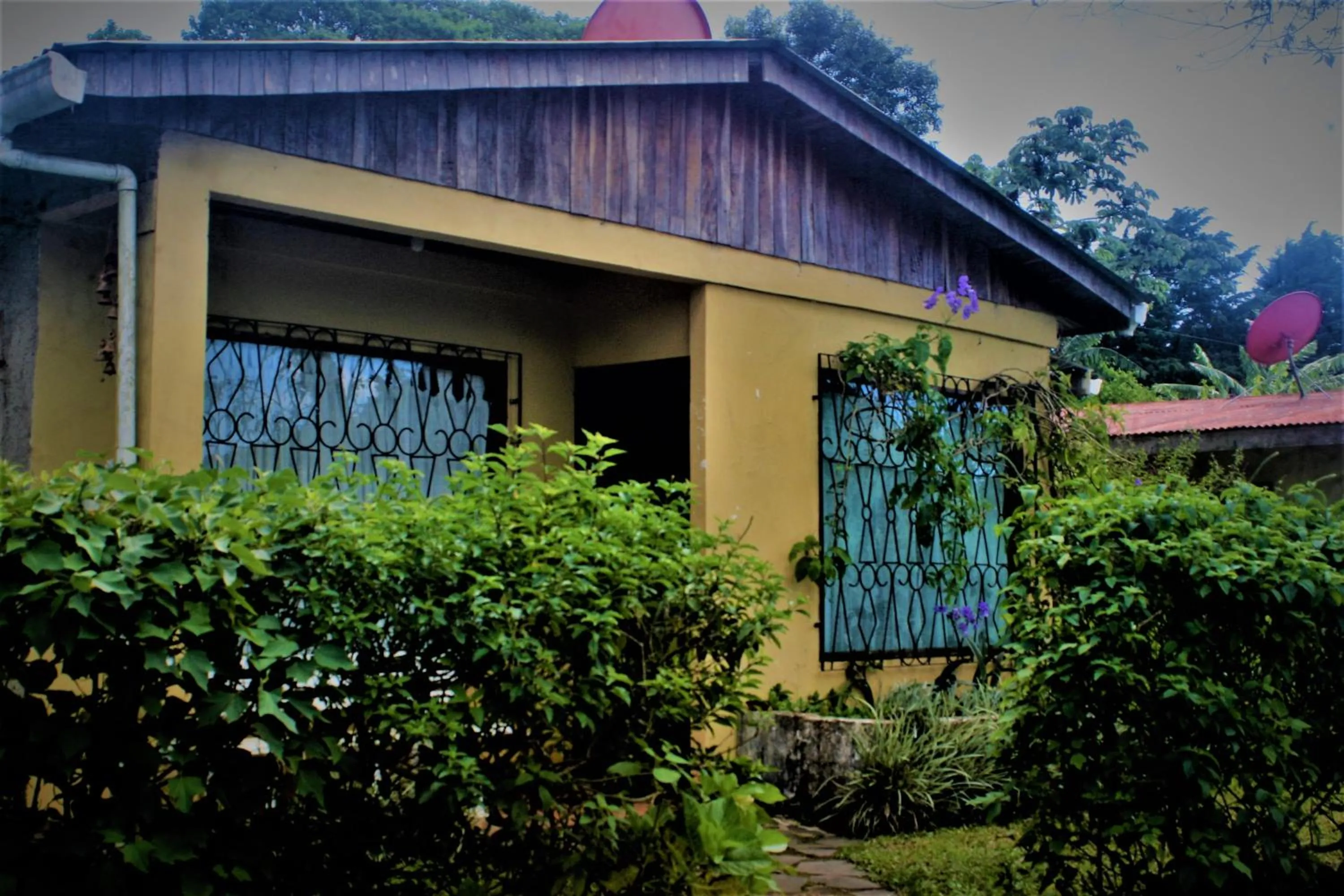 Property building in Casa Copalchi