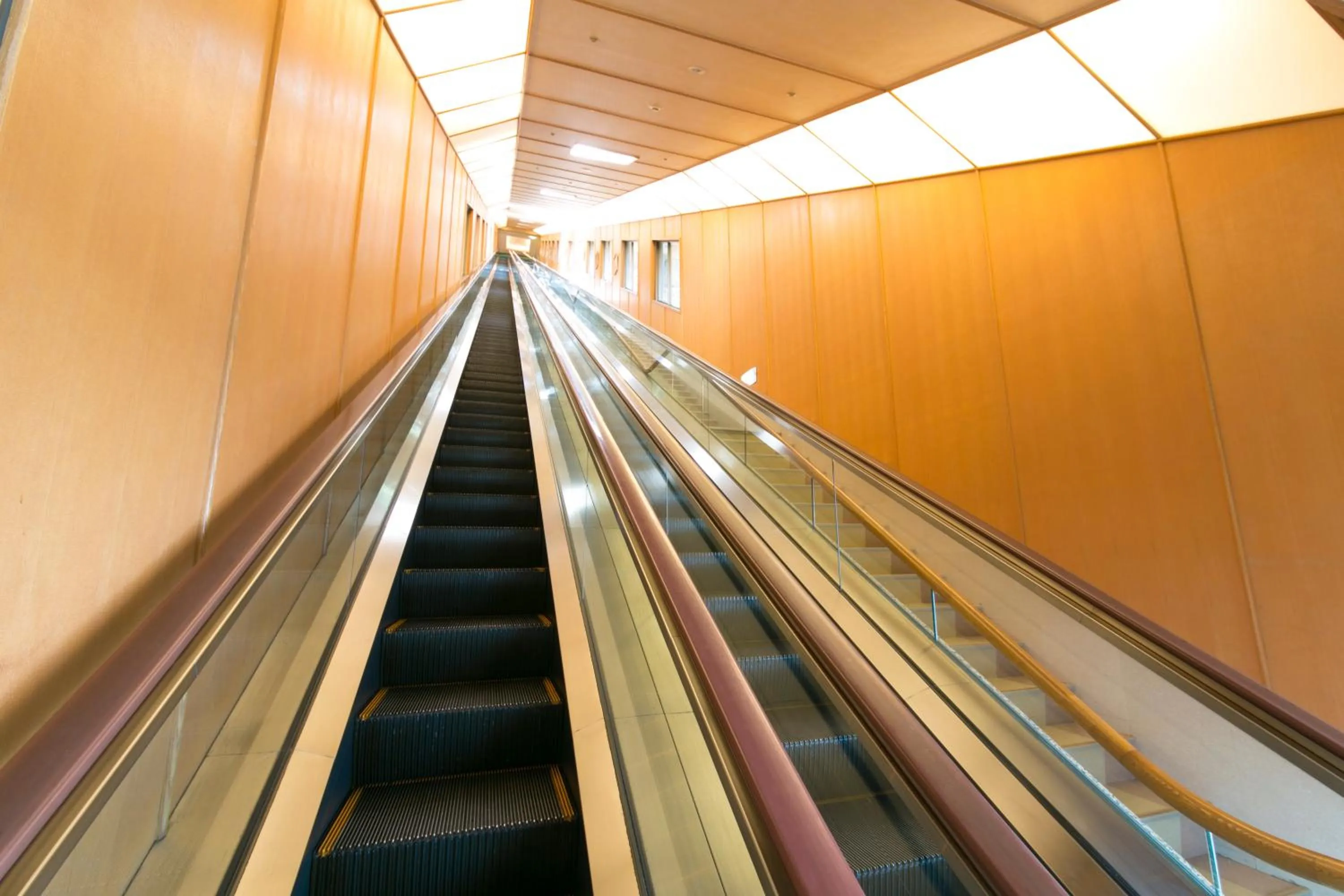 Other in Hotel Urashima