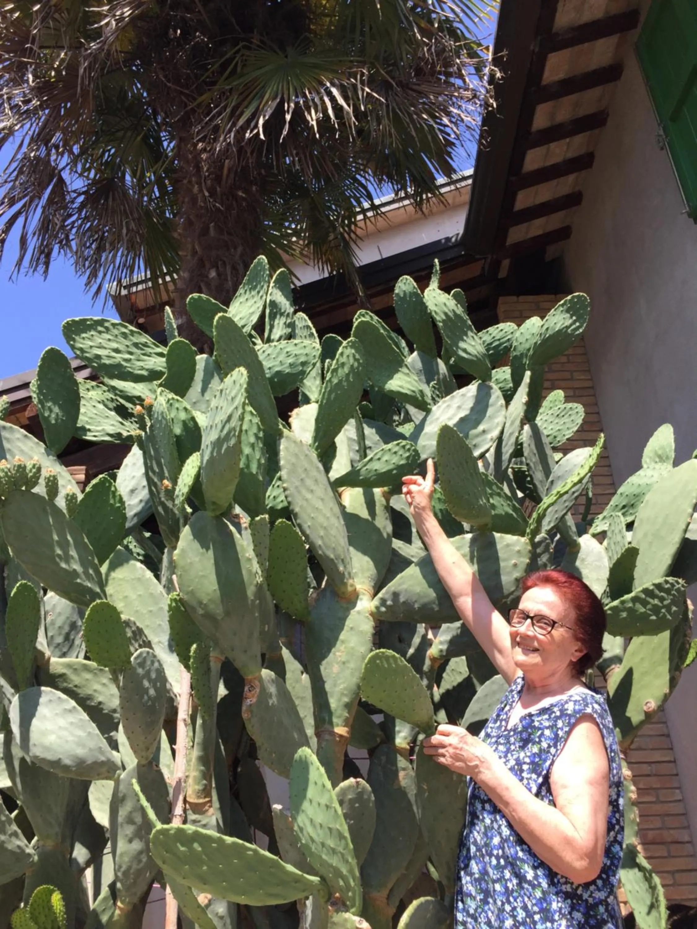 People in La casa di Pilar