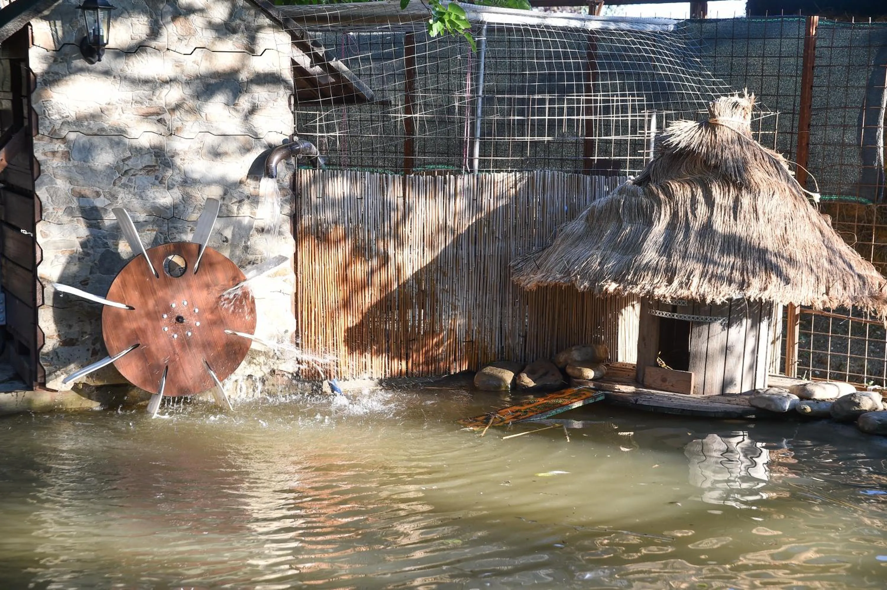 Animals in La casa di Pilar