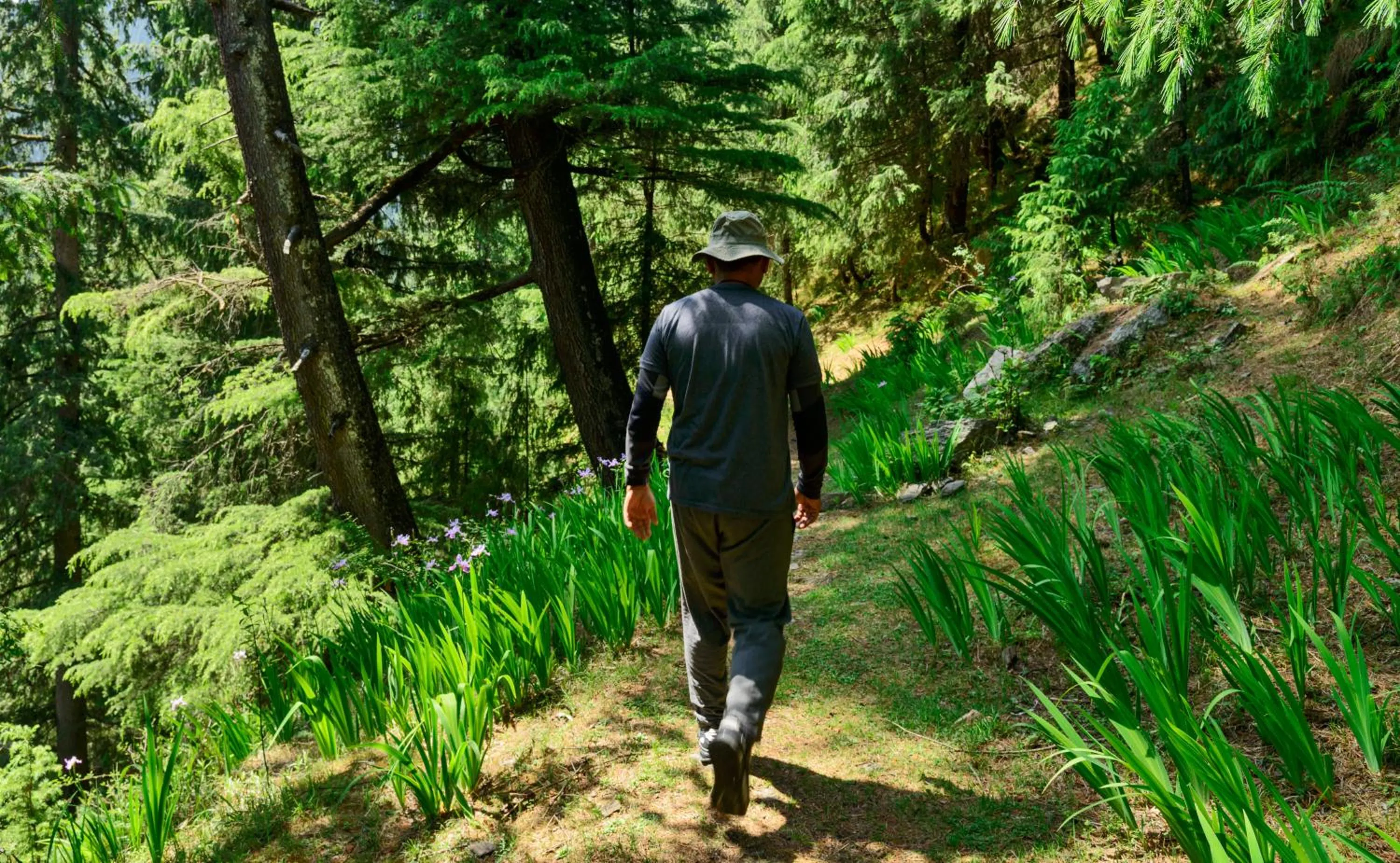 Banjara Retreat and Cottage Sojha