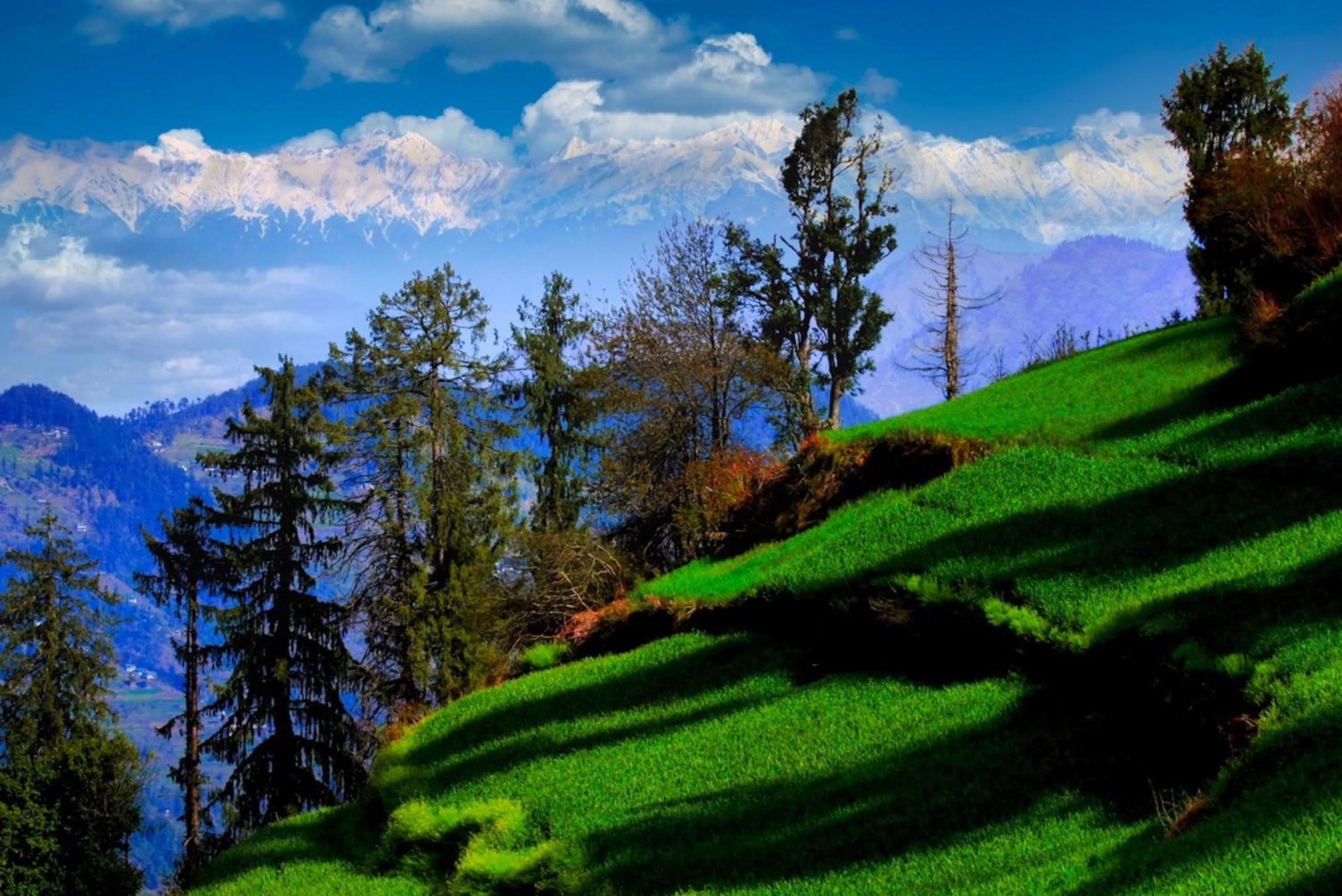 Neighbourhood in Banjara Retreat and Cottage Sojha