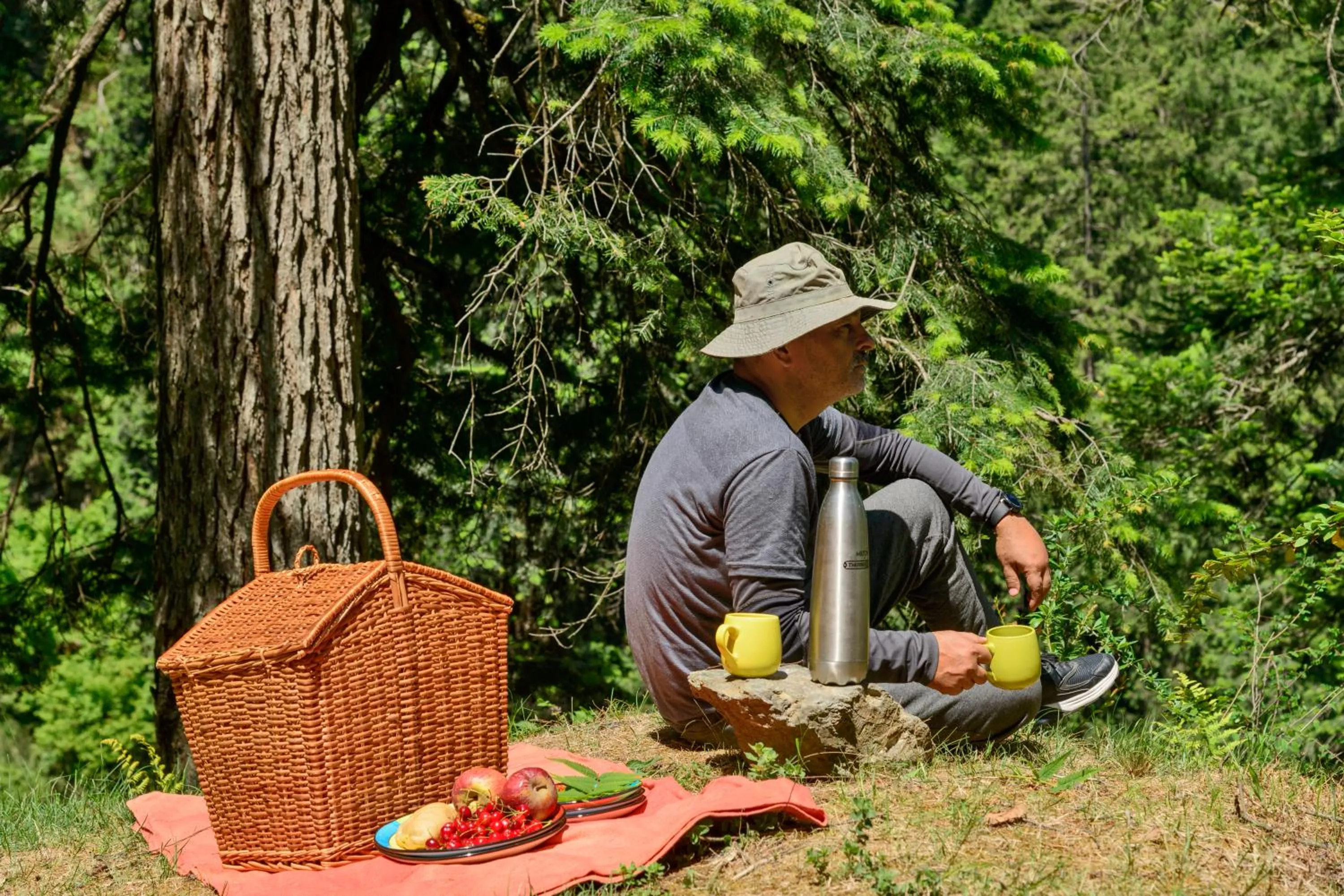 Banjara Retreat and Cottage Sojha