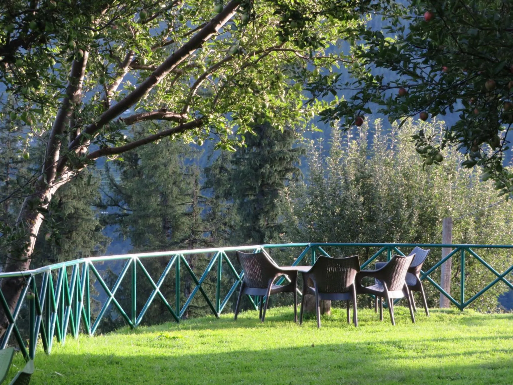 Garden in Banjara Retreat and Cottage Sojha