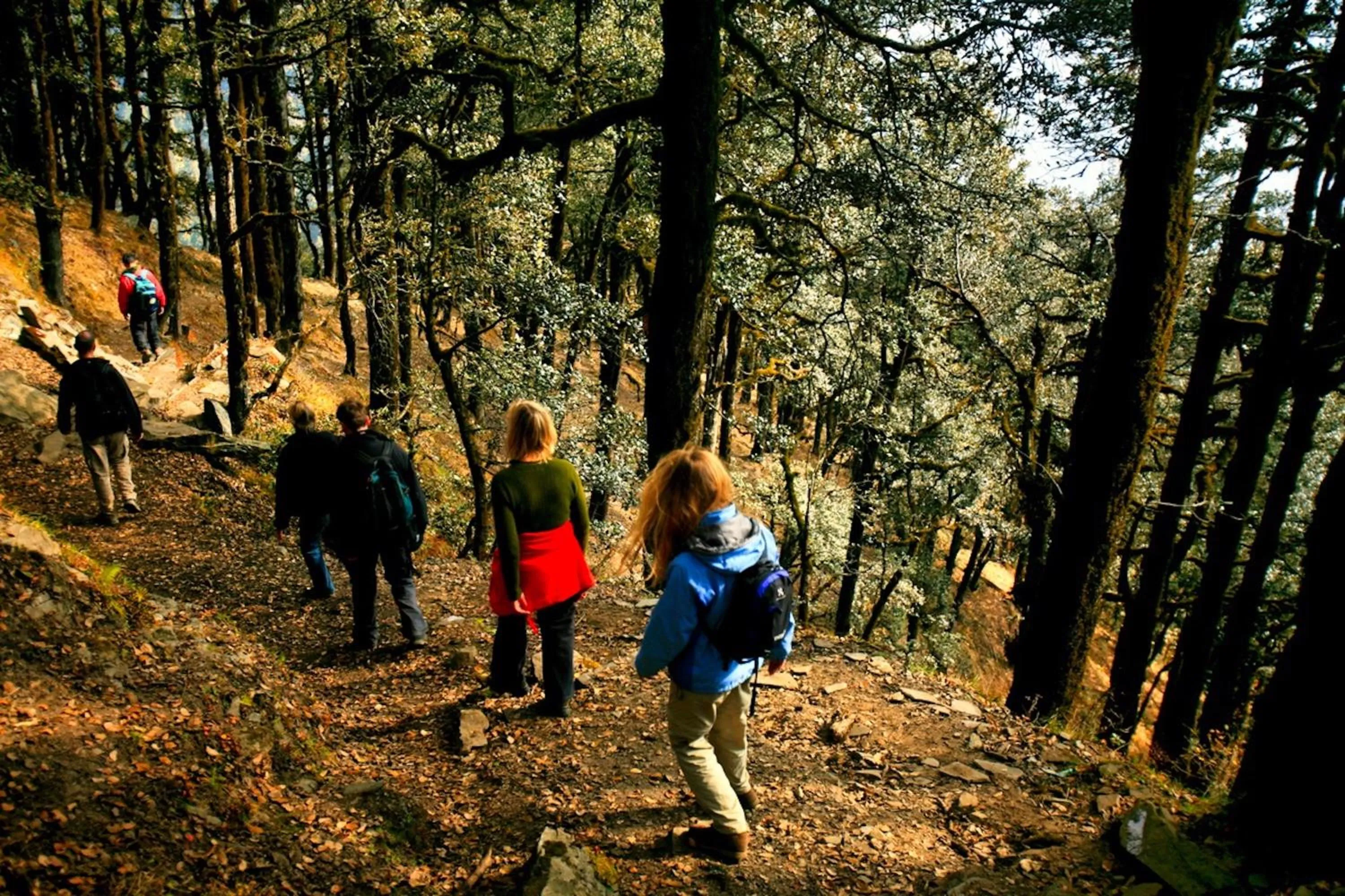 Hiking in Banjara Retreat and Cottage Sojha