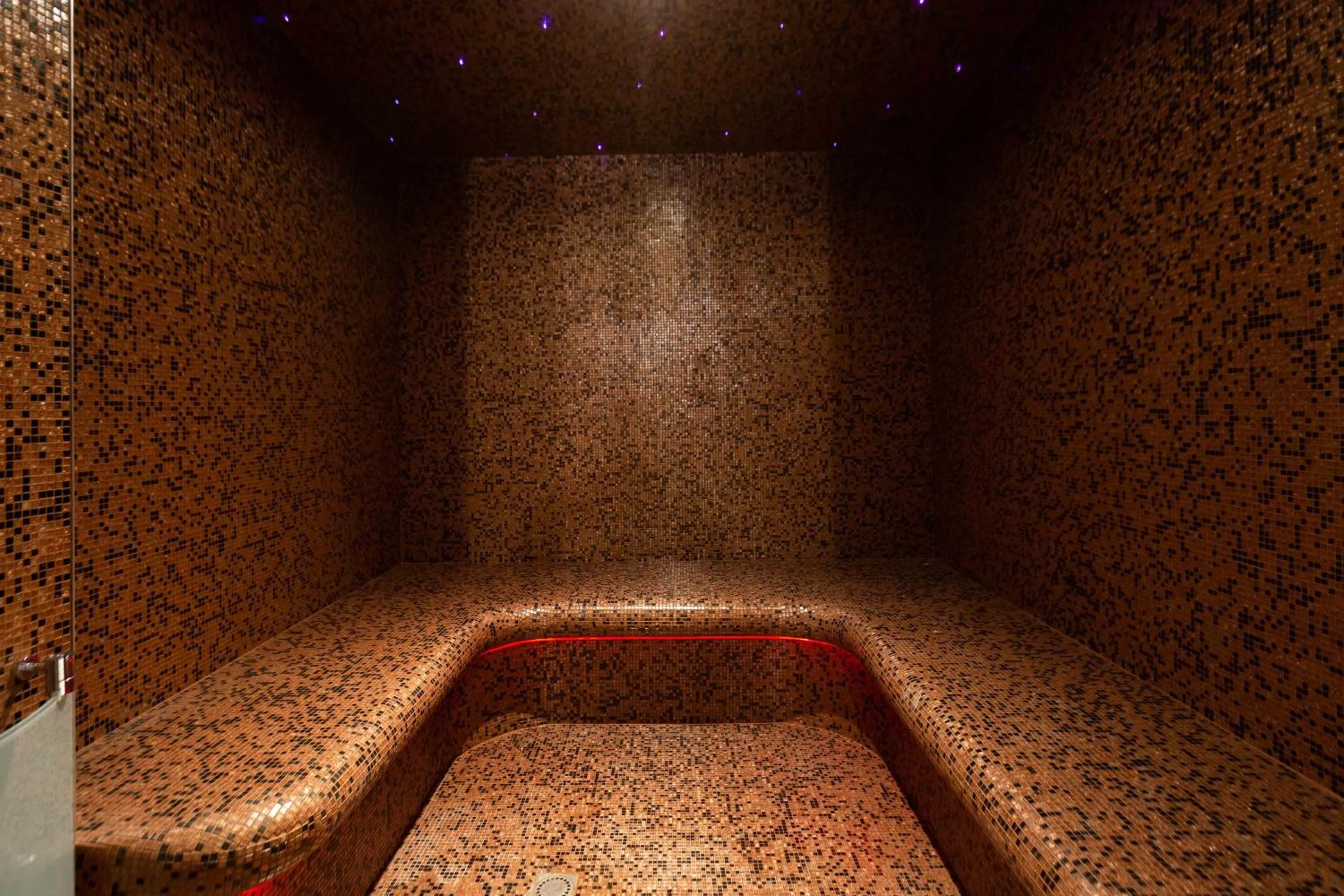 Spa and wellness centre/facilities in 1834&Spa Colmar