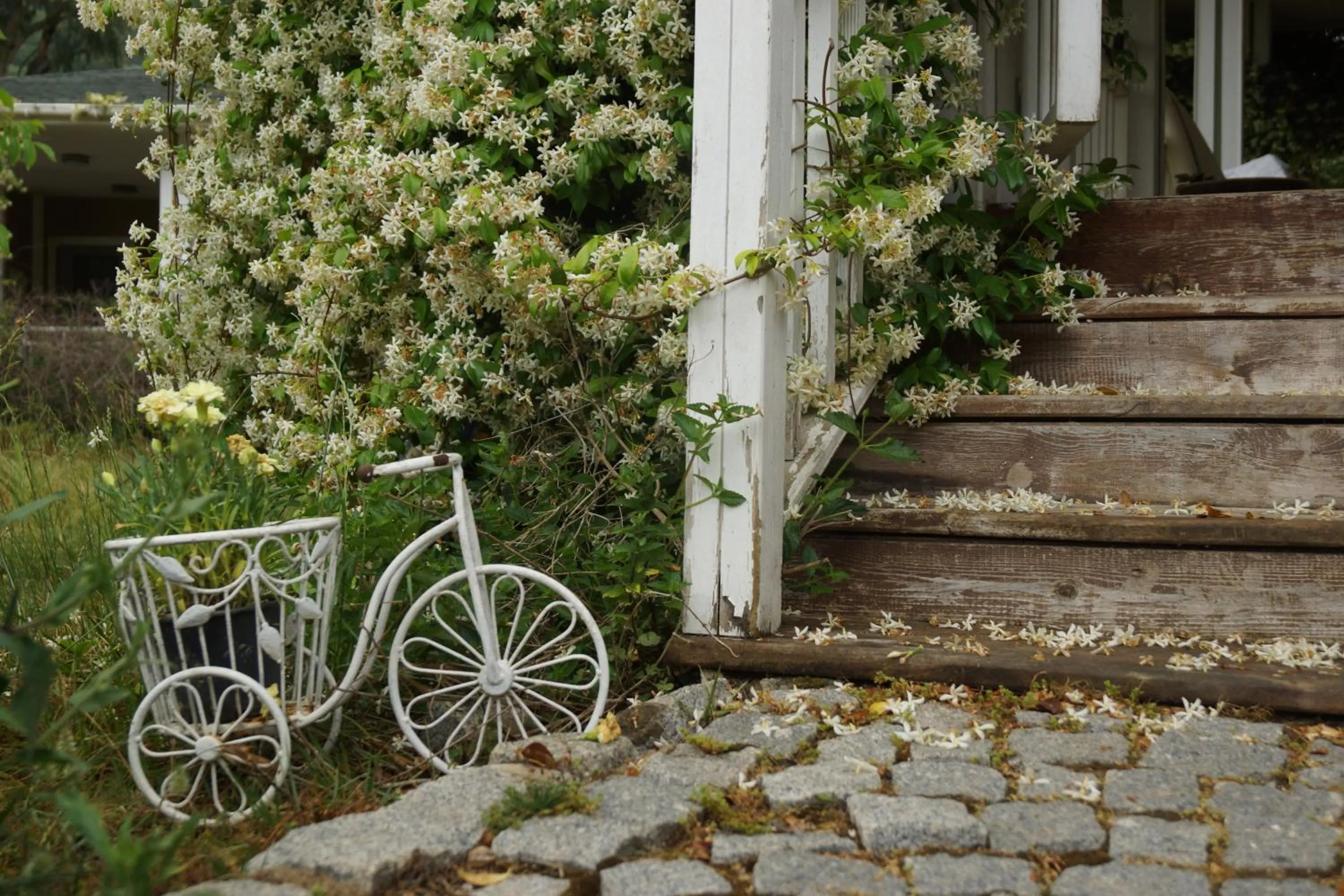Day in Padok Premium Hotel & Stables