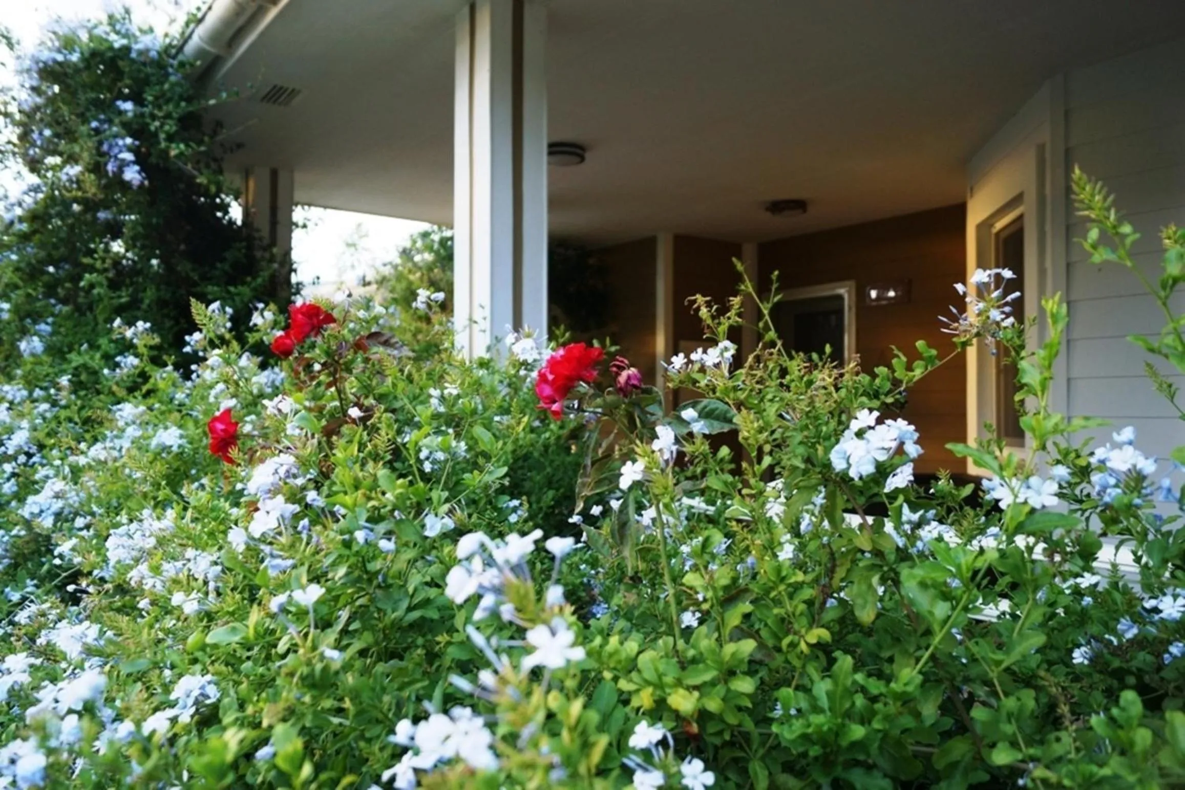 View (from property/room) in Padok Premium Hotel & Stables