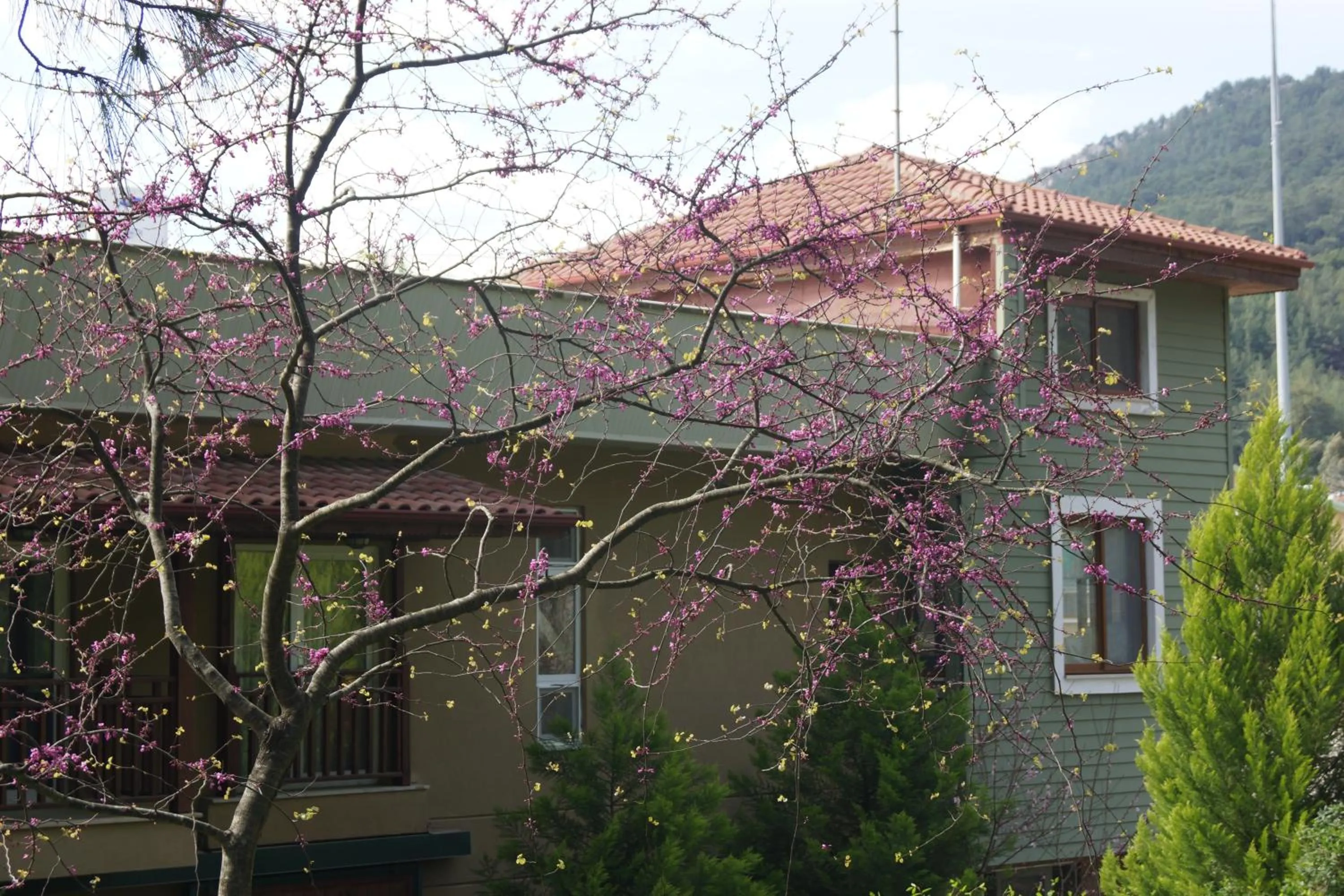 Natural landscape in Padok Premium Hotel & Stables