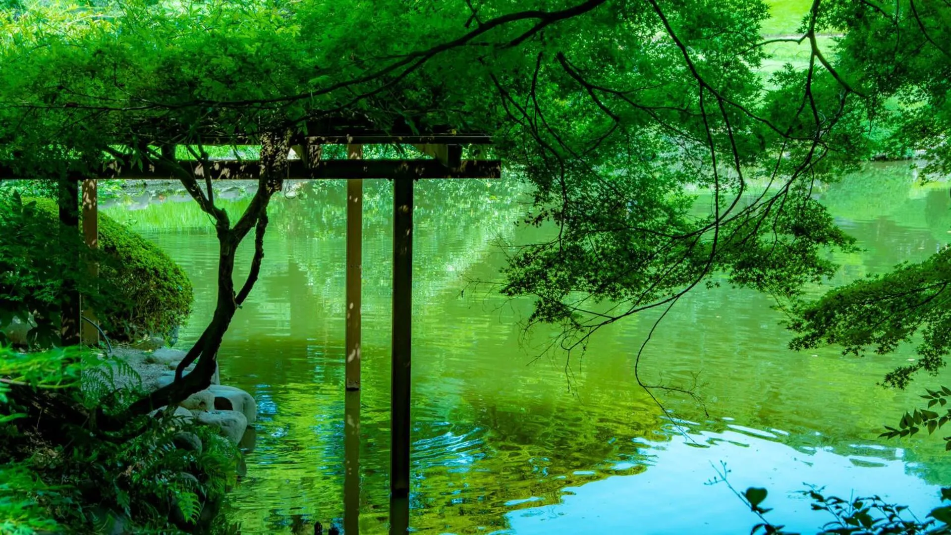 Off site in Ryokan Ichinao