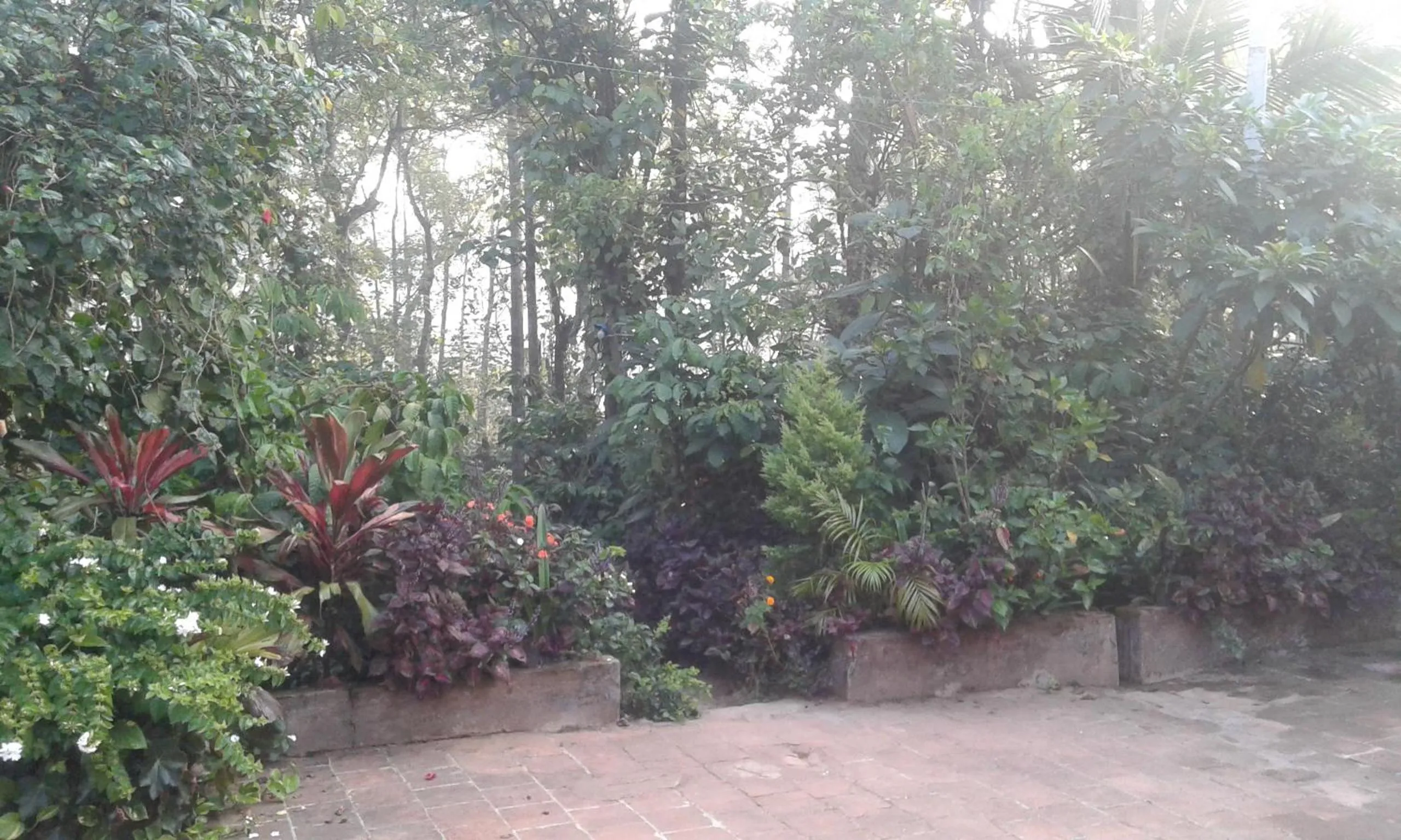 Dreams Home Estate Stay