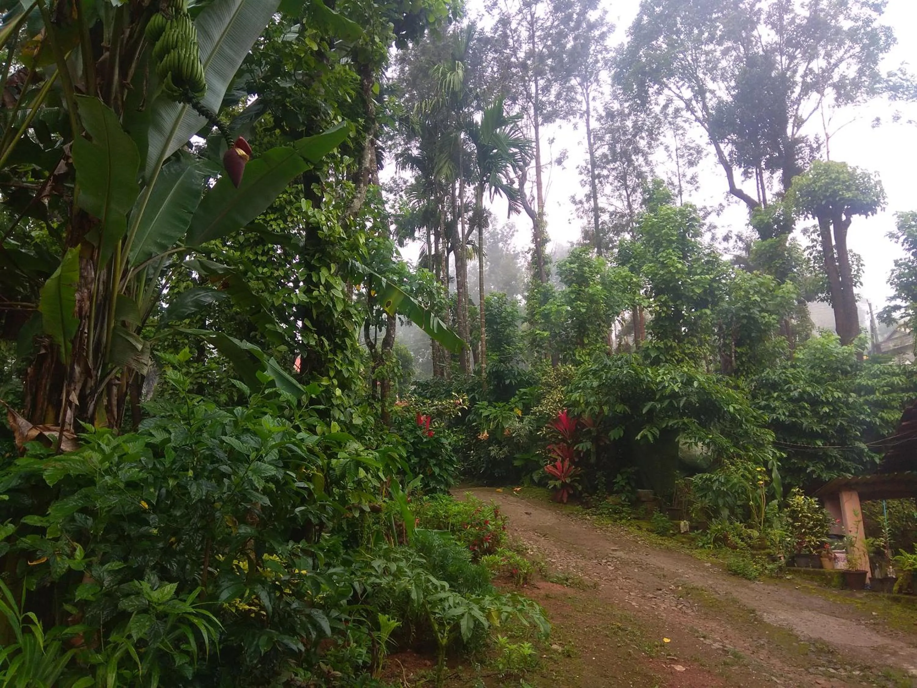 View (from property/room) in Dreams Home Estate Stay