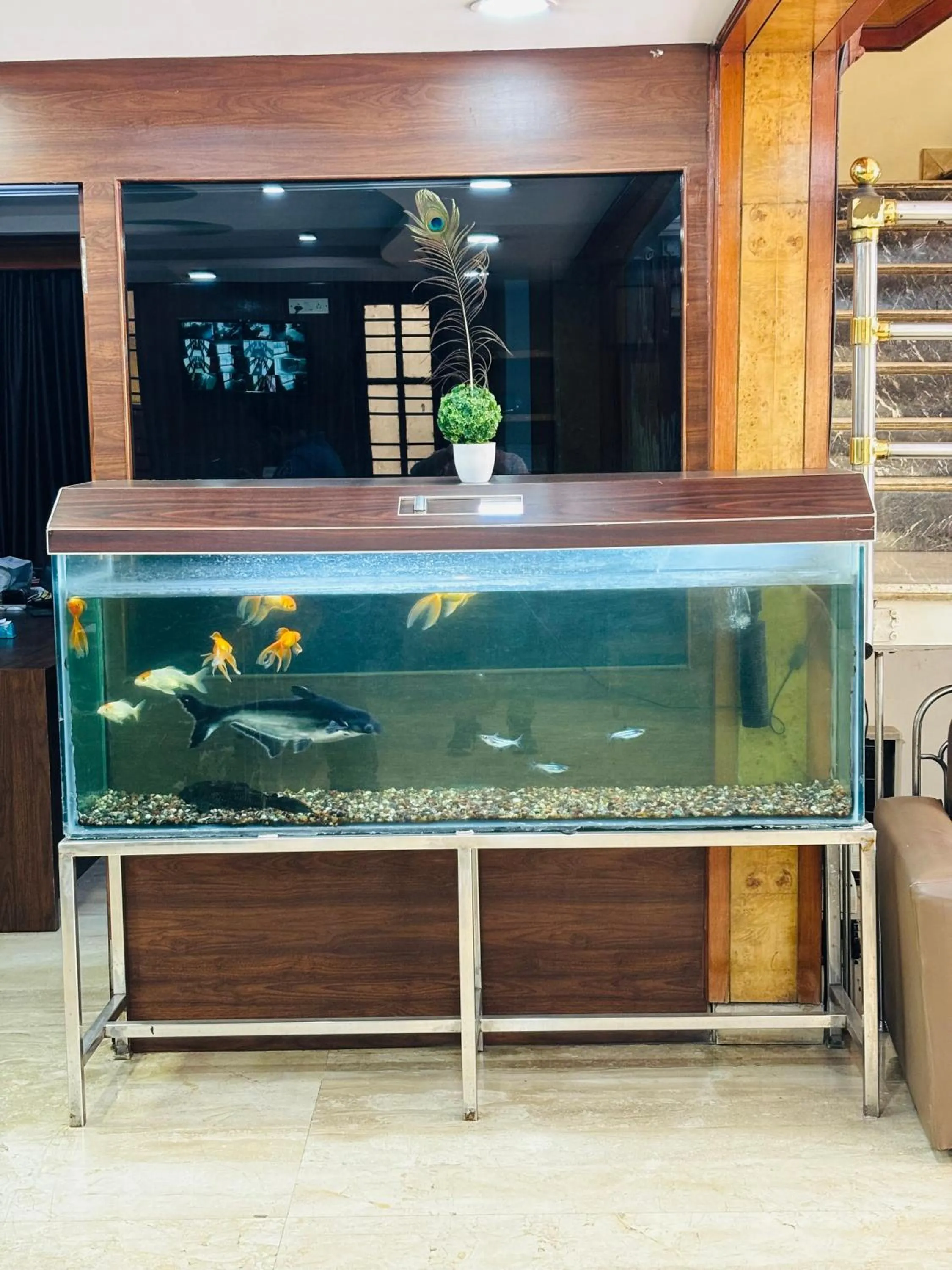 Property building in Hotel Chetan International