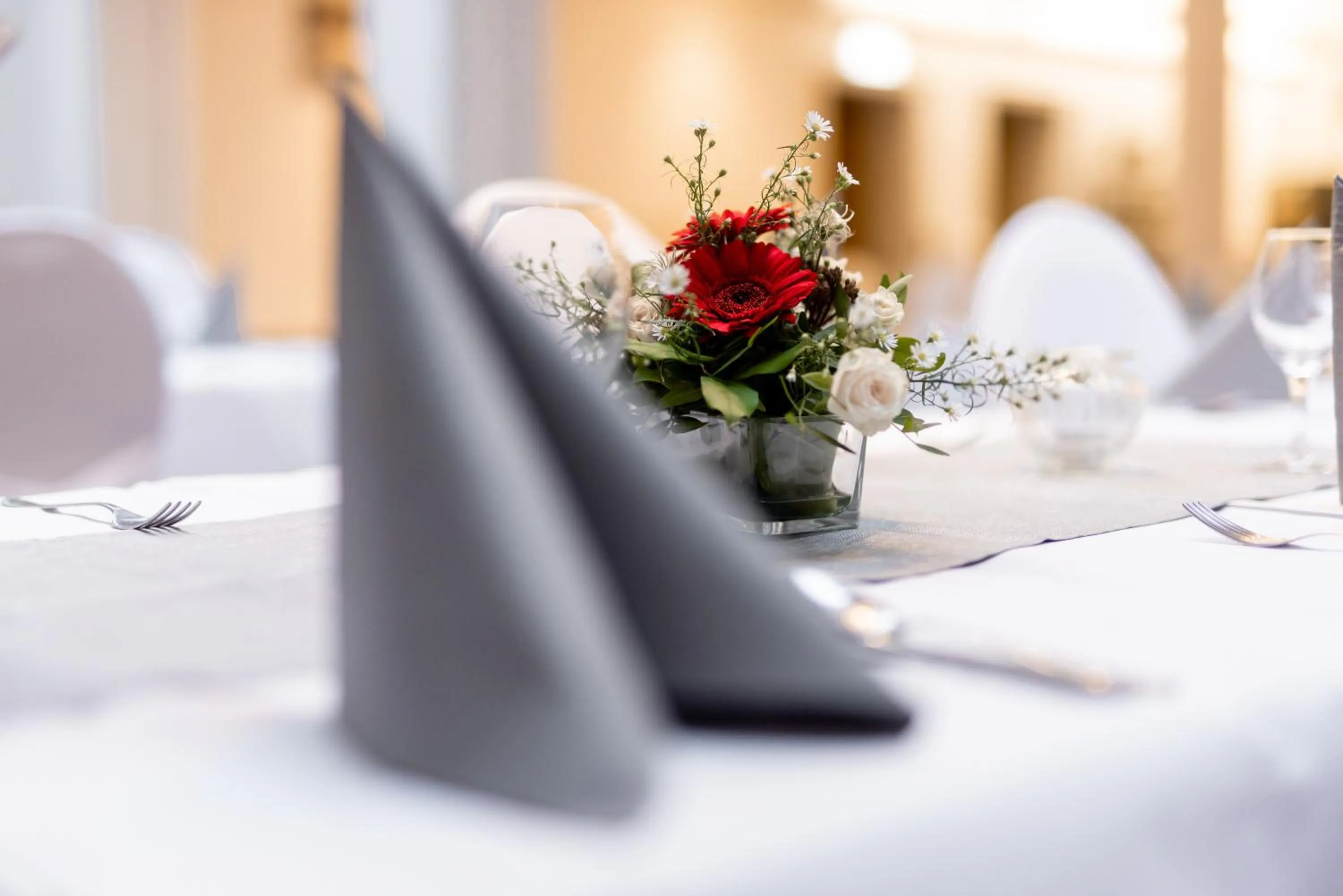 Banquet/Function facilities in Hotel Lüttje Burg