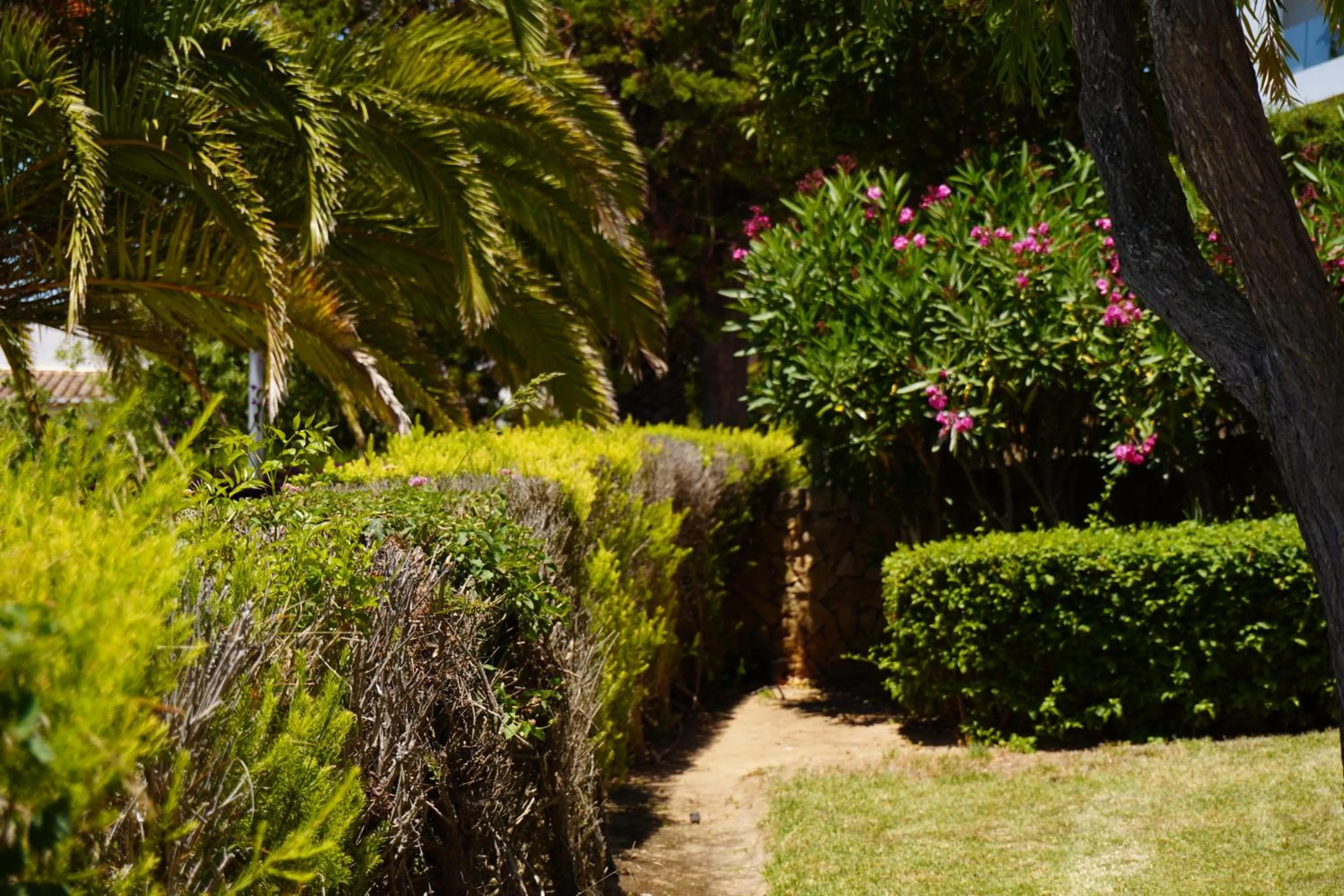 Off site in Clube Porto Mos - Sunplace Hotels & Beach Resort