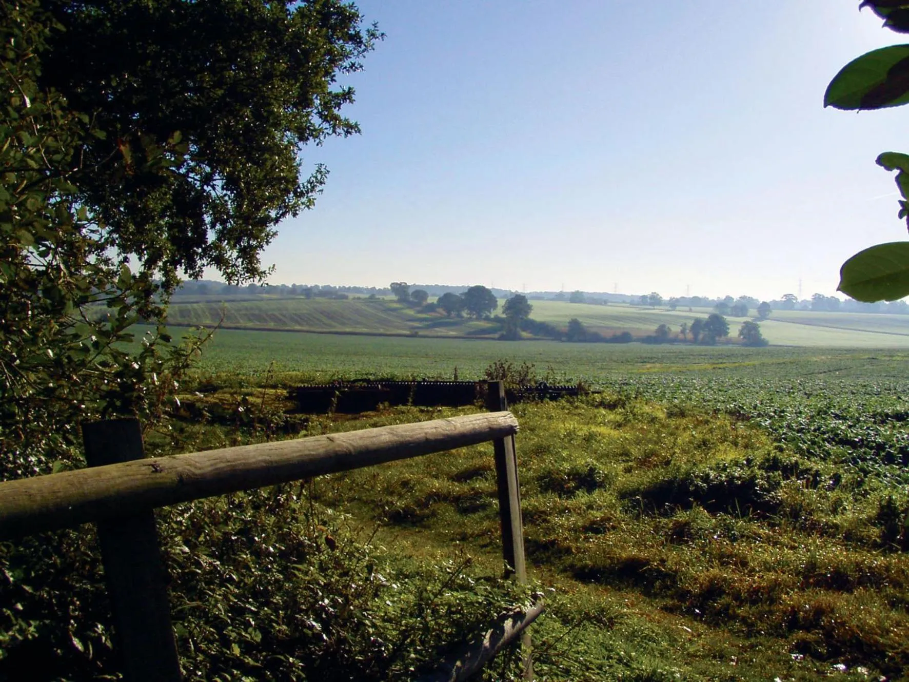Day in The Pheasant Public House & Hotel