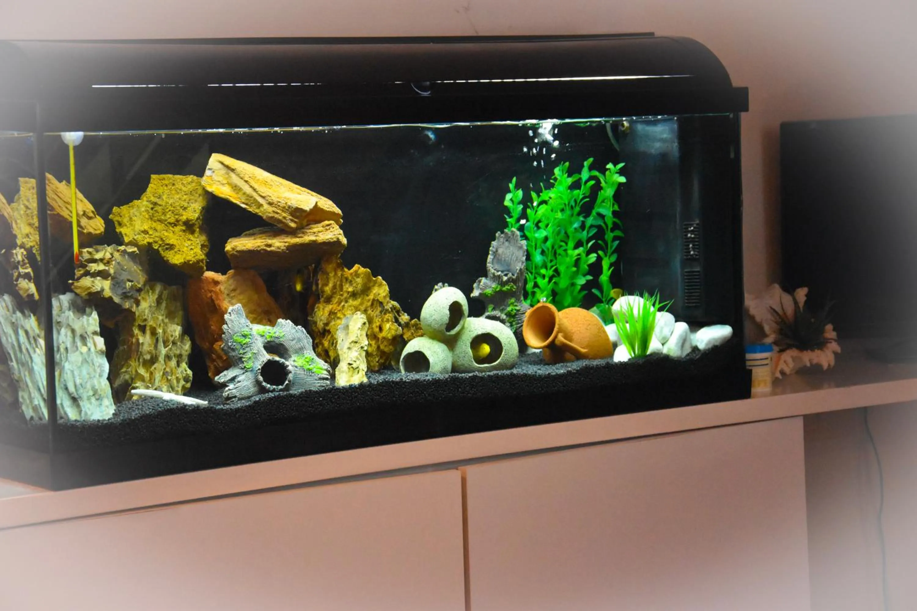 Lobby or reception in Hotel Suprem sul Mare