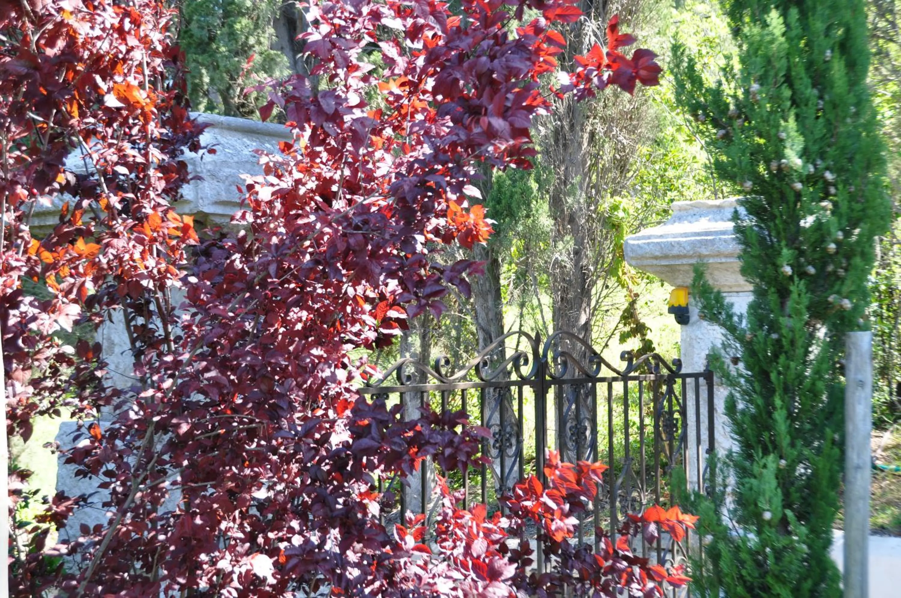 Facade/entrance in Mas du Perthus