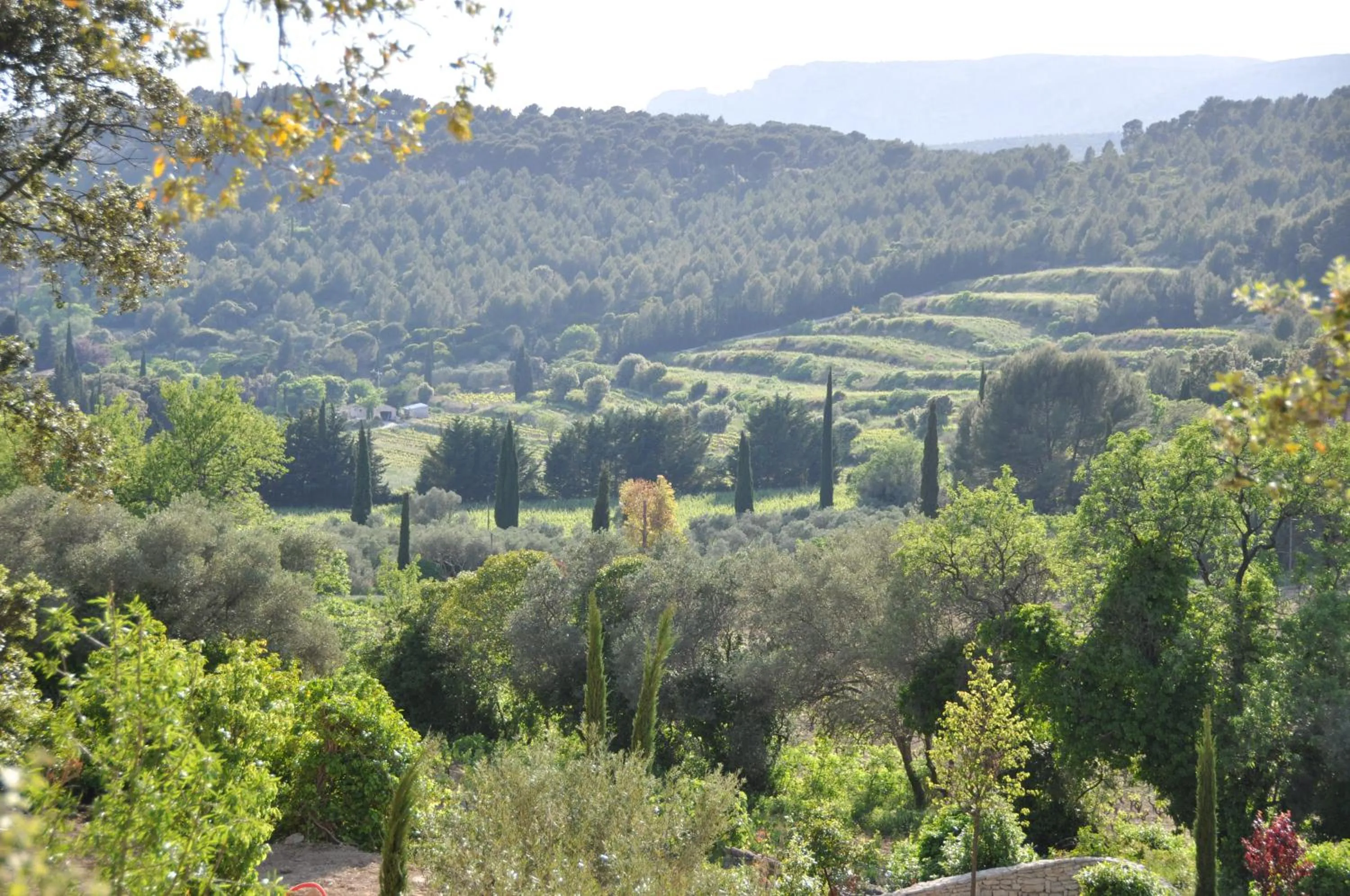 Pool view in Mas du Perthus
