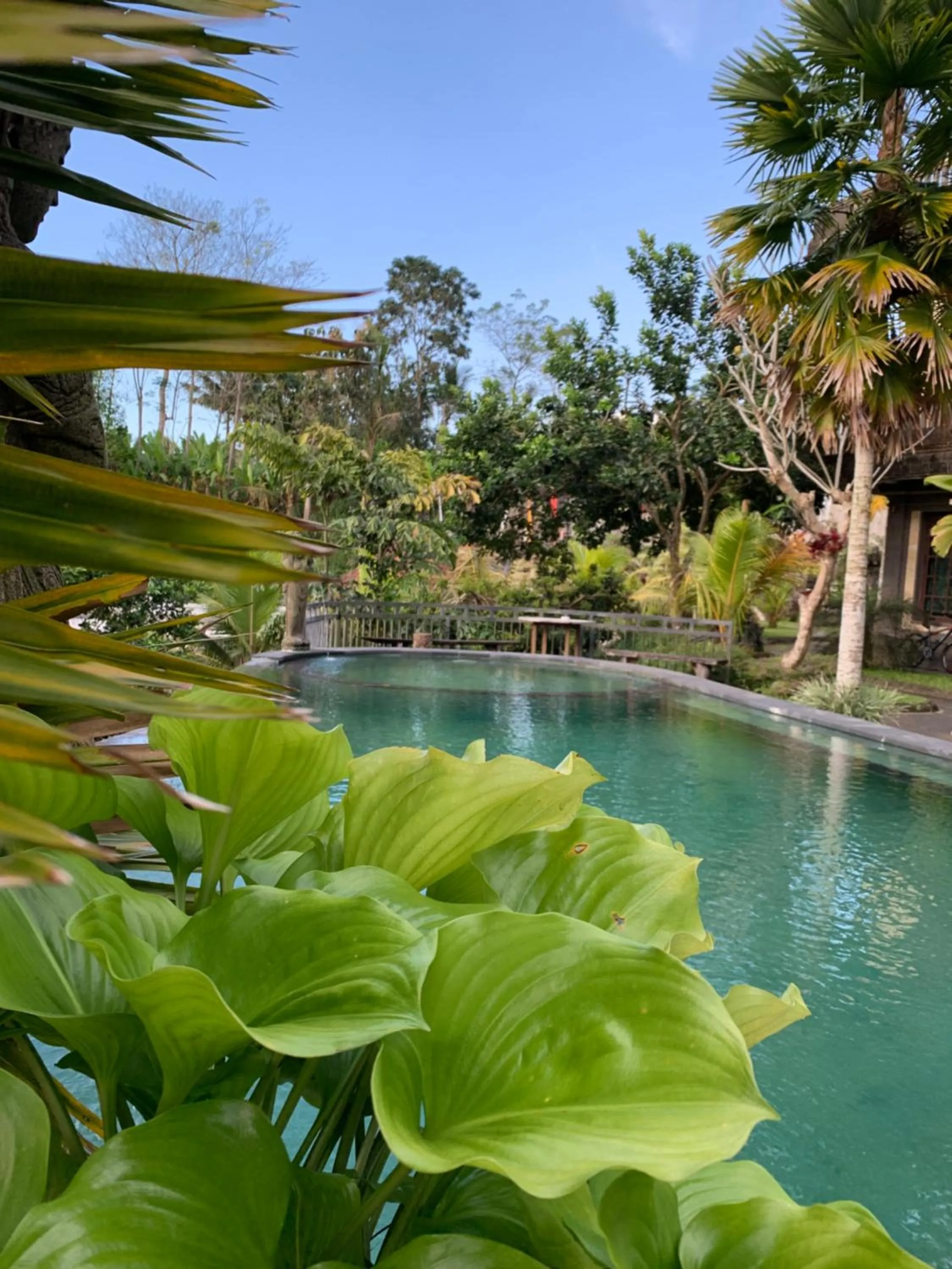 Swimming pool in The Lumbung Jaya by Uniquecations
