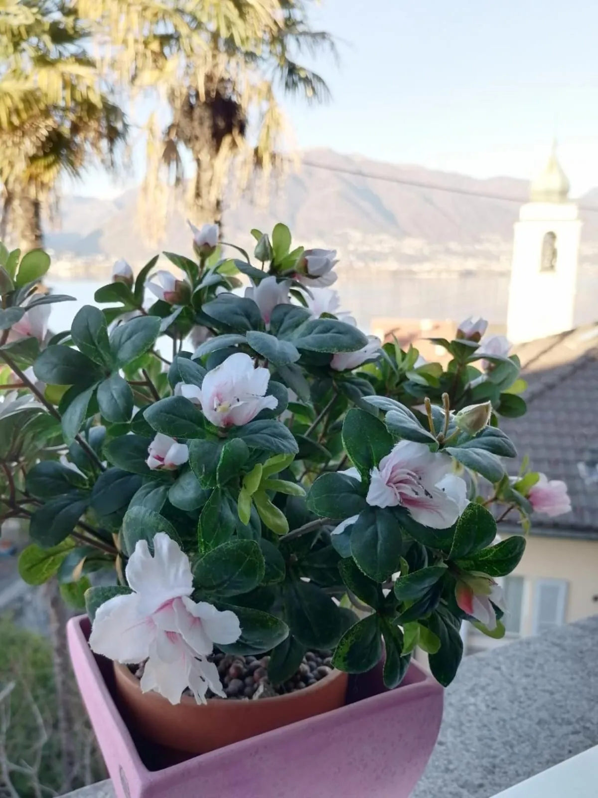 Day in Albergo Ristorante Al Portico