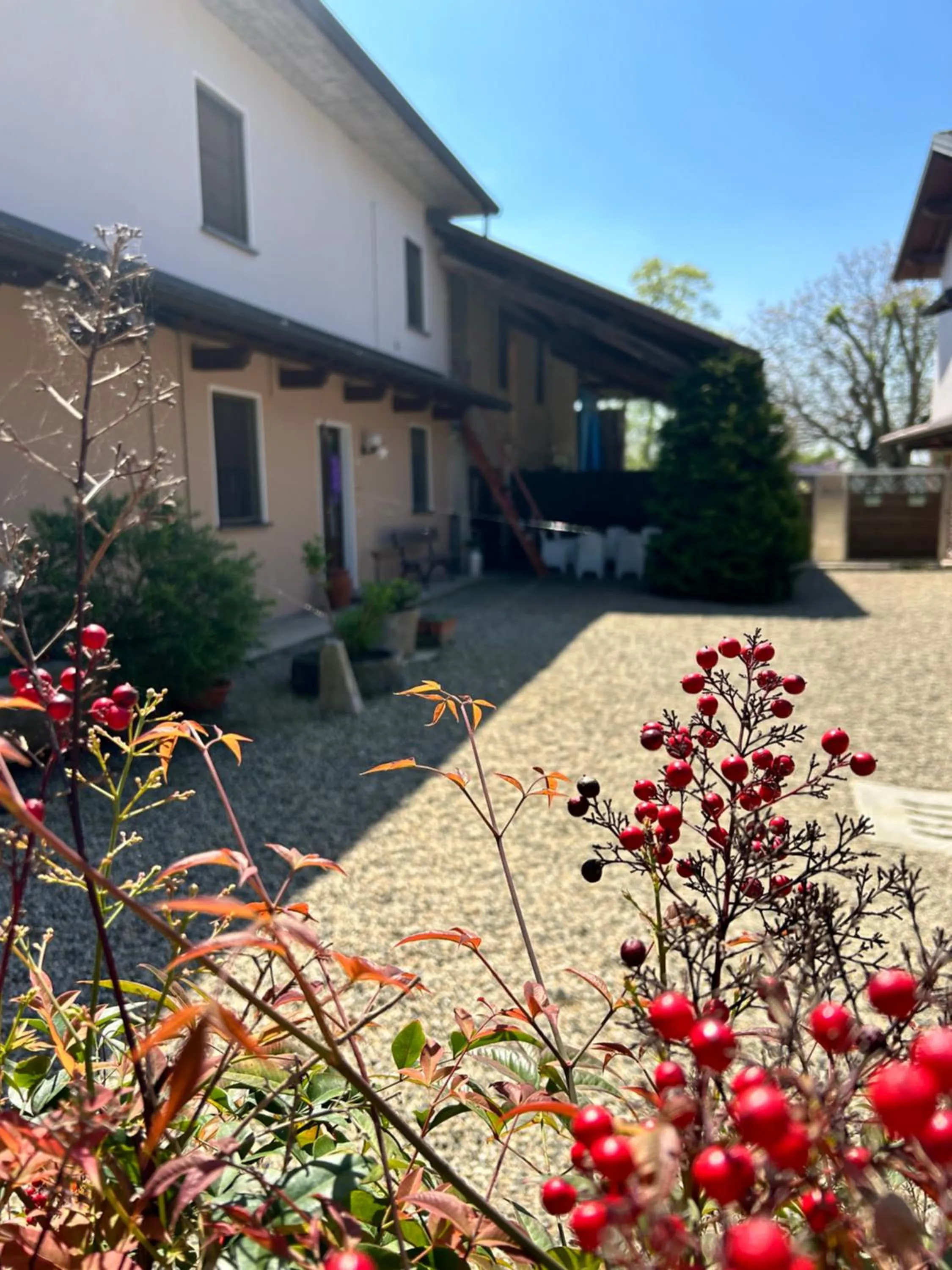 Inner courtyard view in B&B dalLo Zio