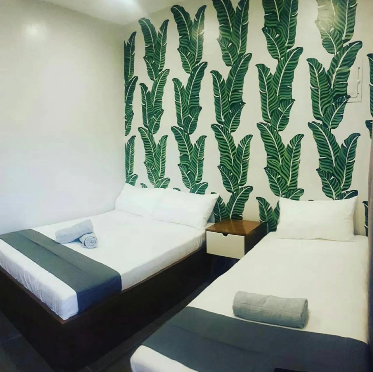 Photo of the whole room, Bed in Down South Hostel