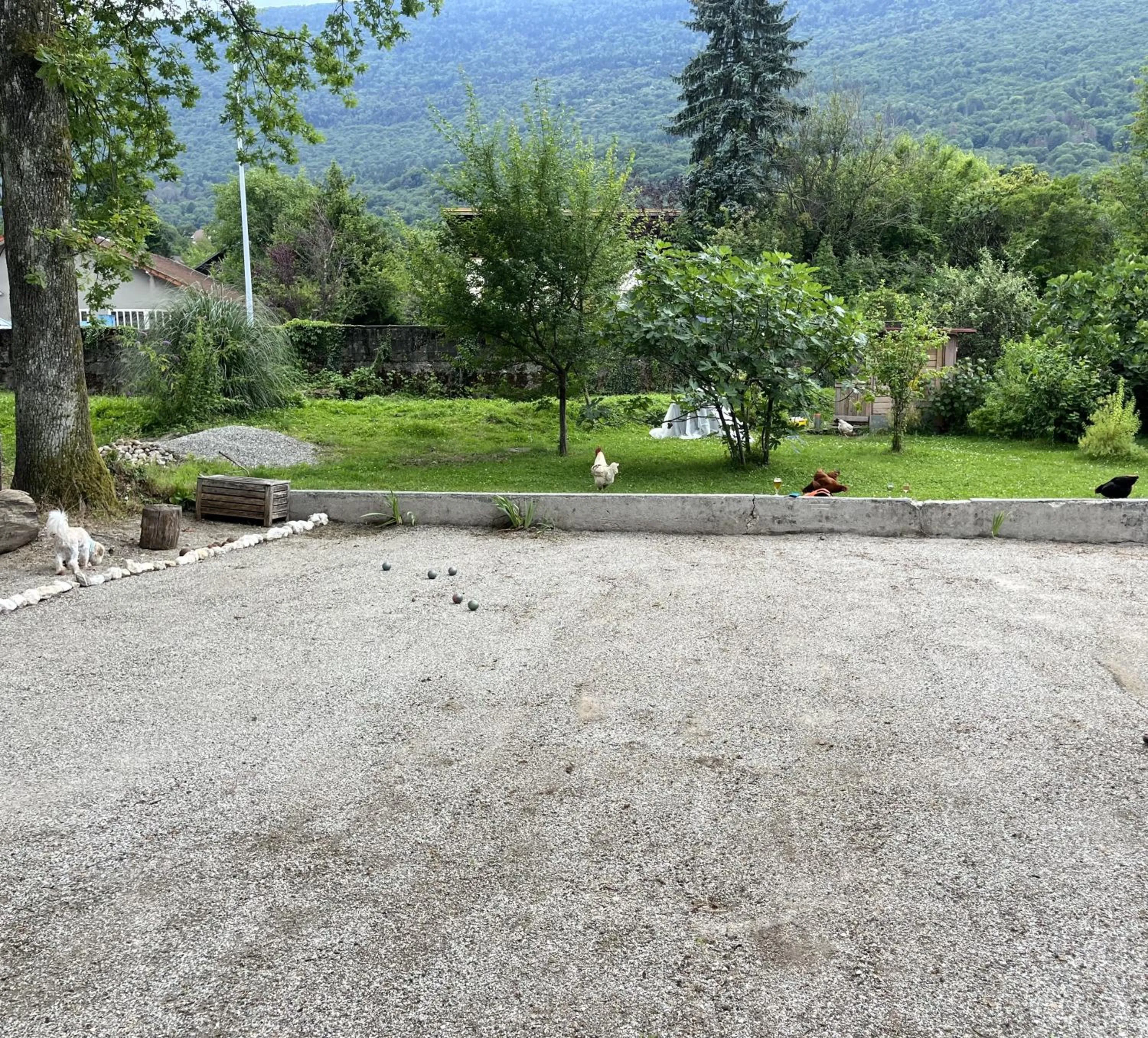 Garden in Savoy Hotel
