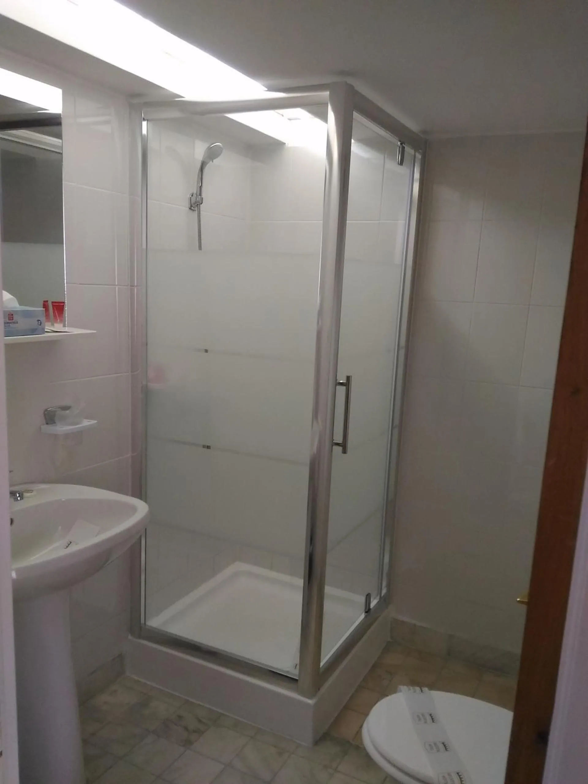 Shower in Pensiunea Helvetia