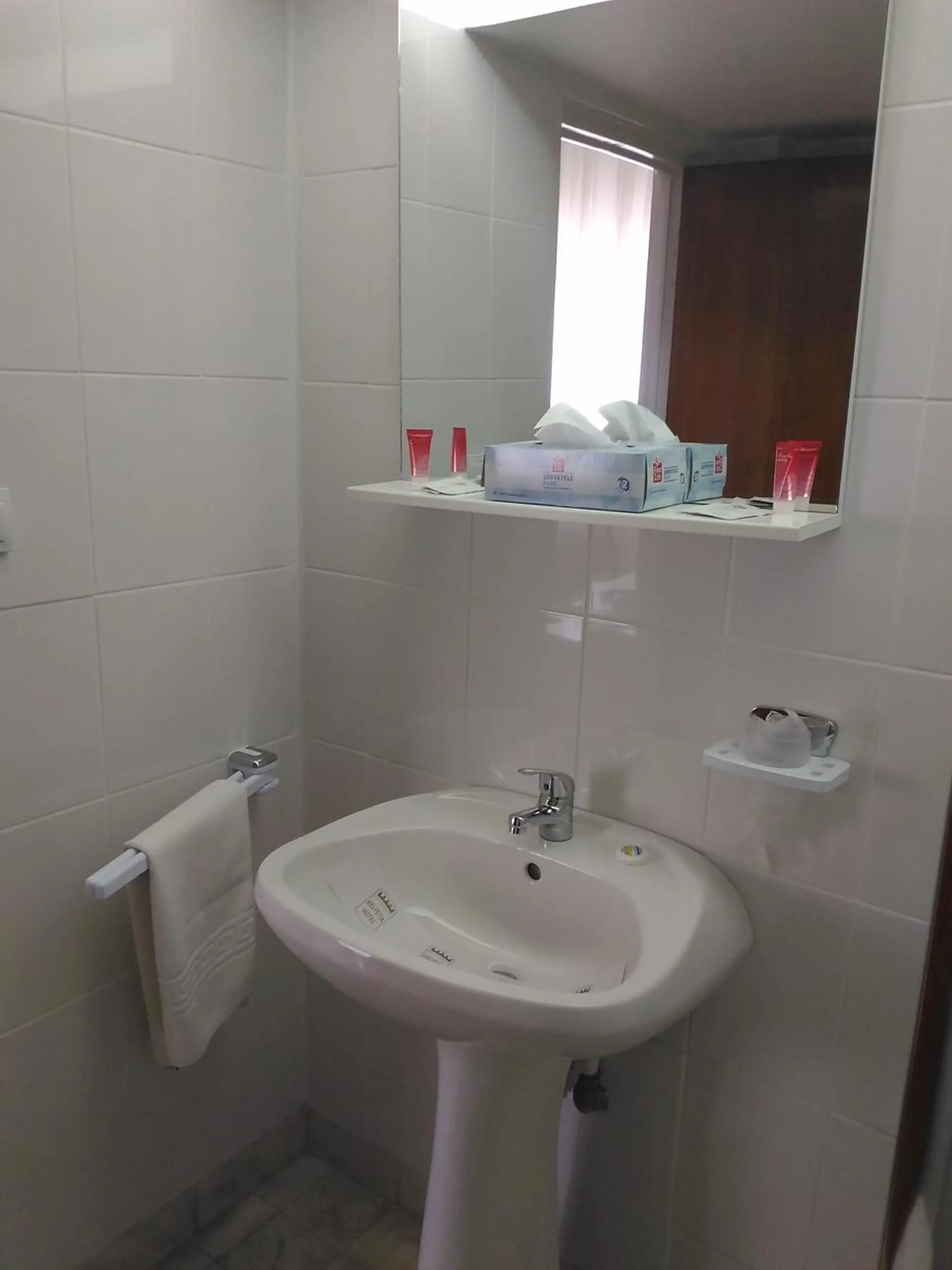 Bathroom in Pensiunea Helvetia