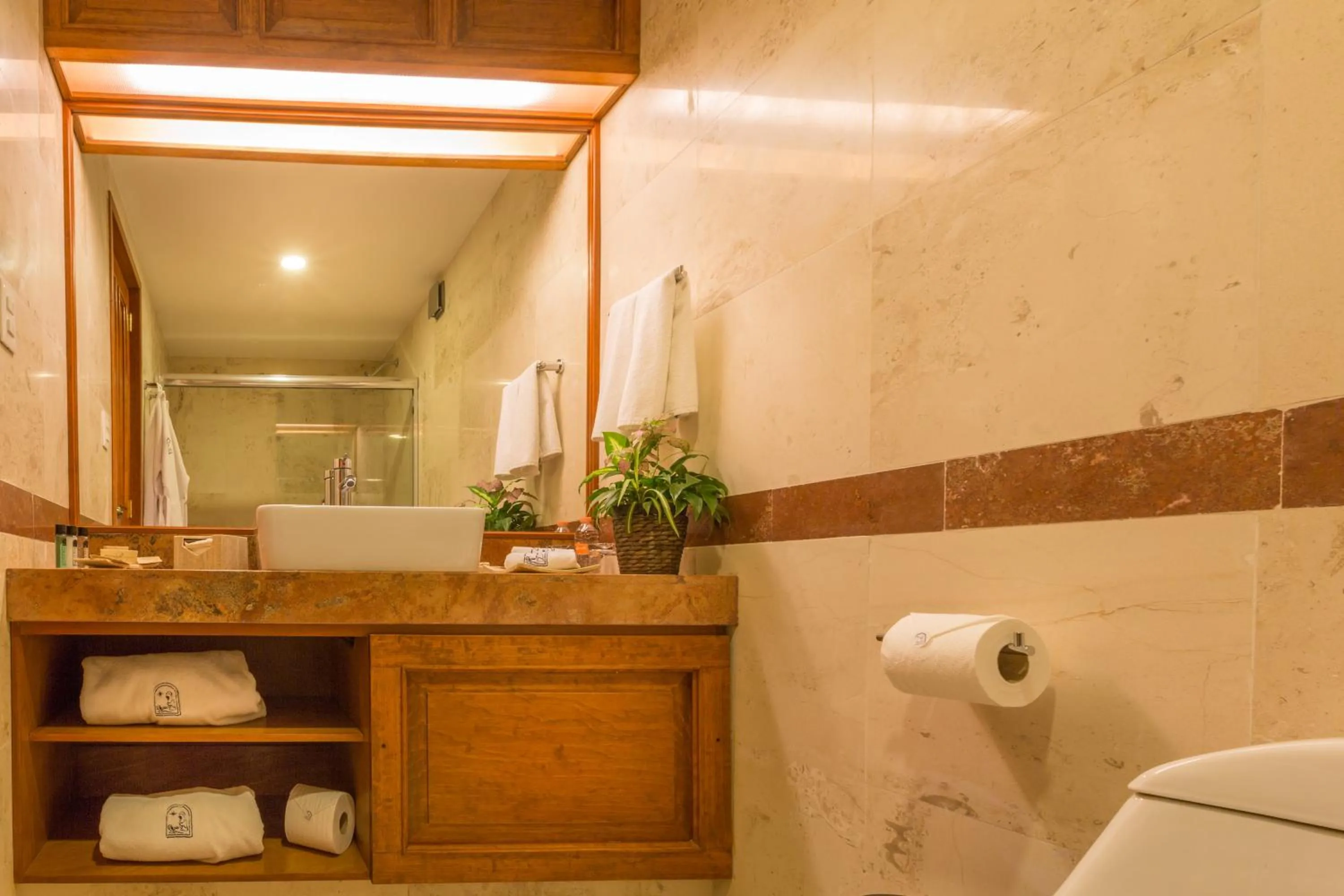 Bathroom in Estrella de Belem B&B and Spa