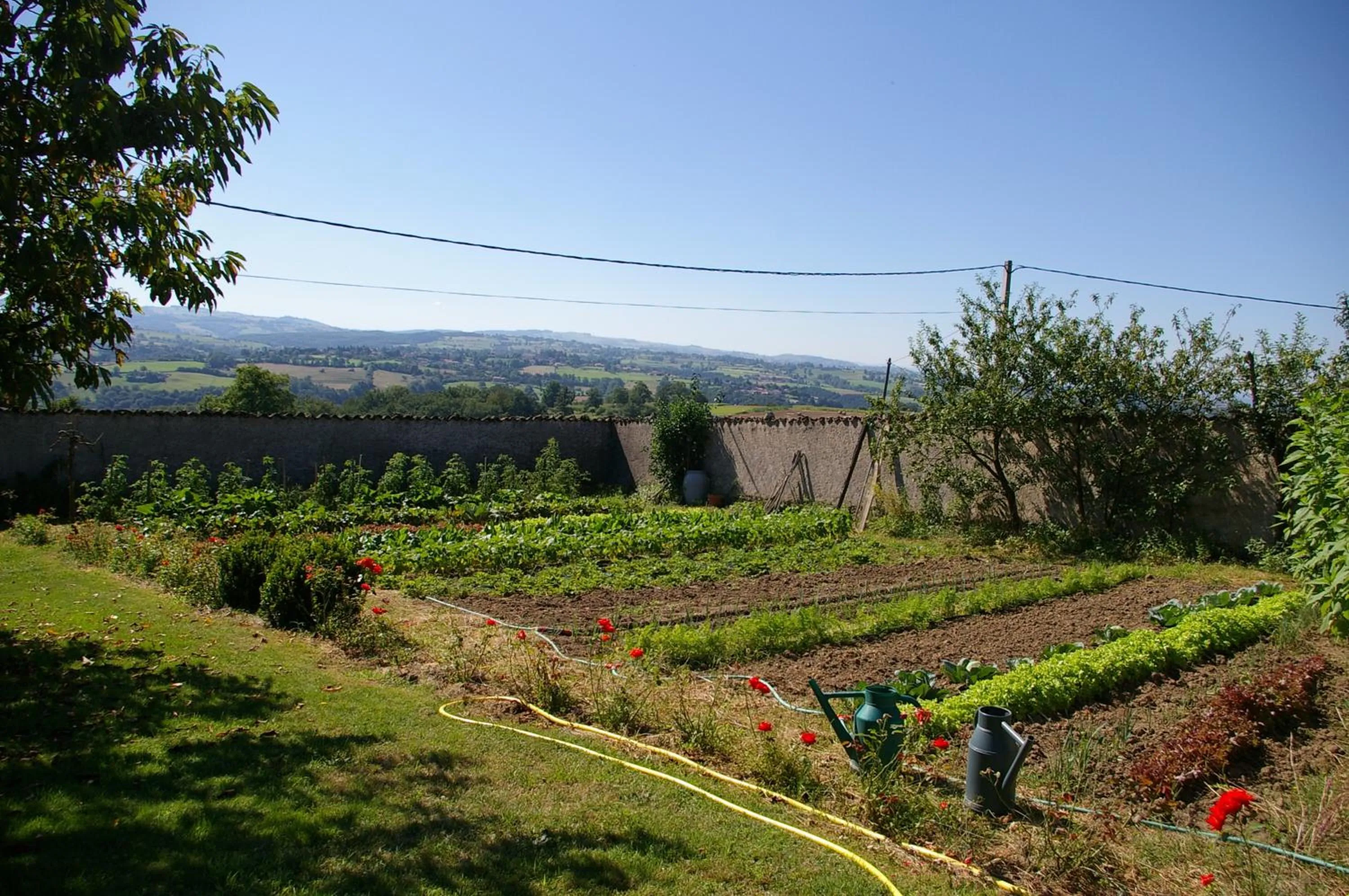 Garden in Chez Jacotte et Elia