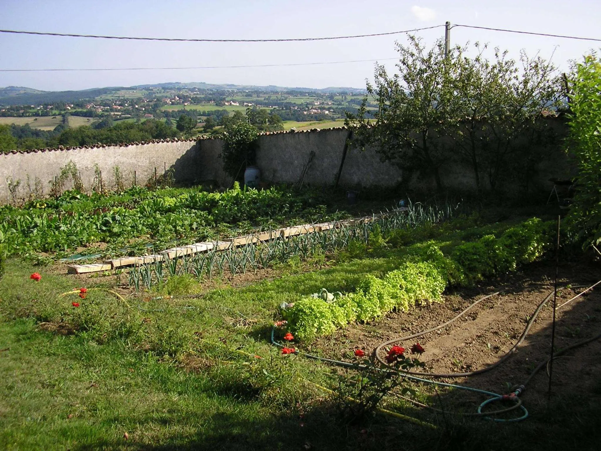 Garden in Chez Jacotte et Elia