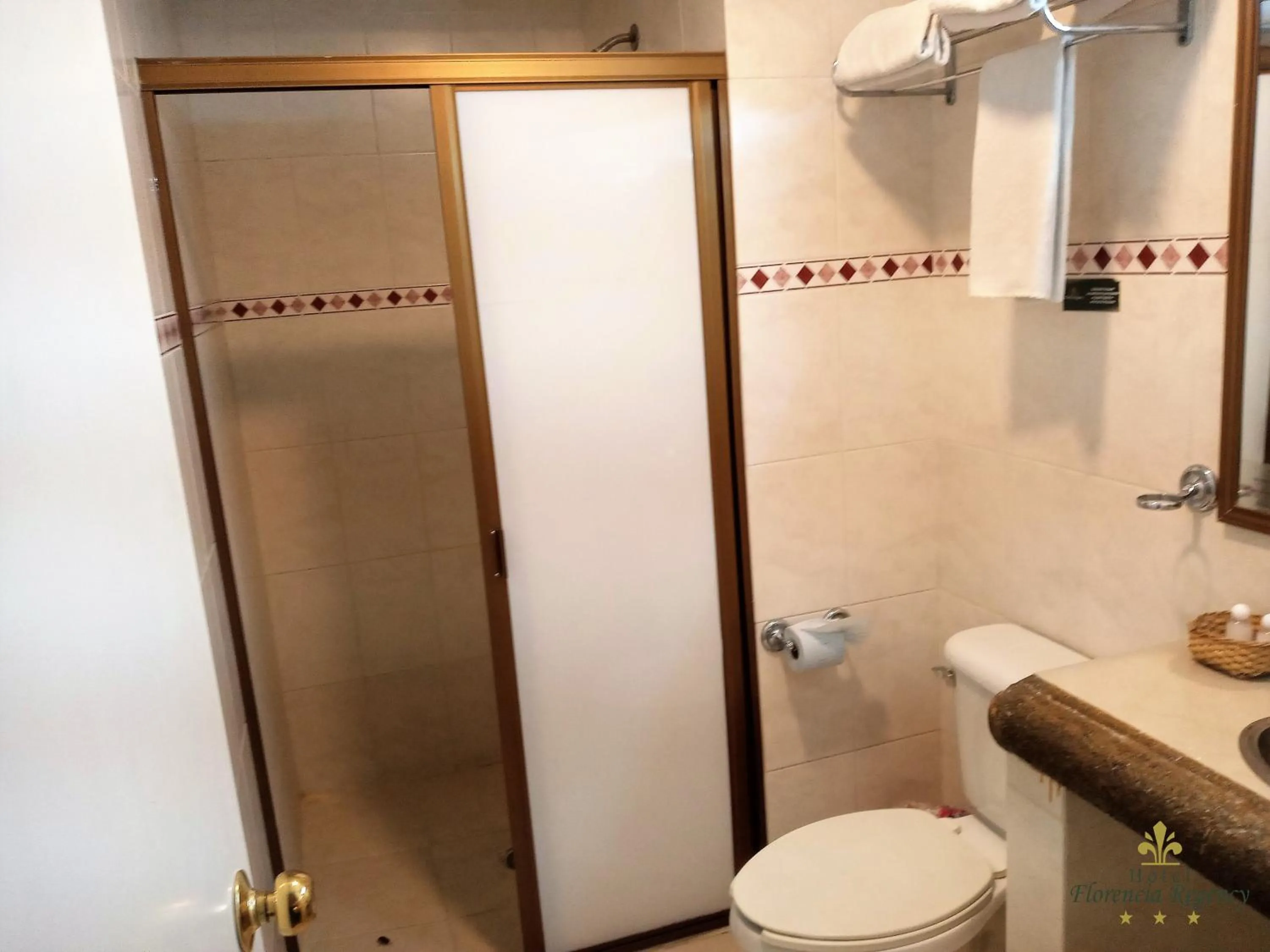 Bathroom in Hotel Florencia Regency