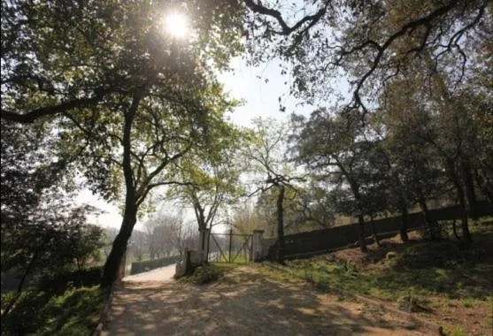 Garden in Hotel Palanca
