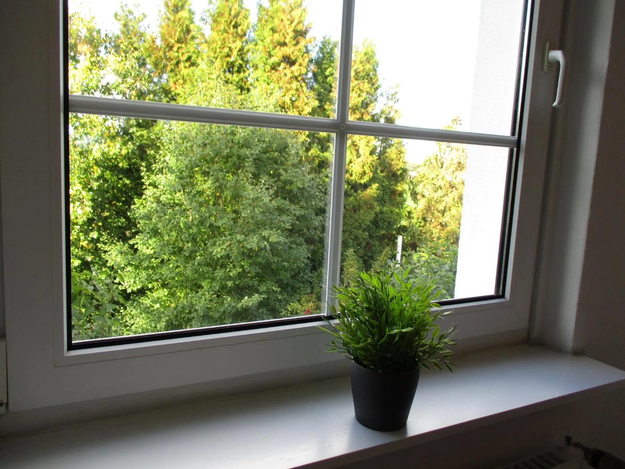 View (from property/room) in Best Pension