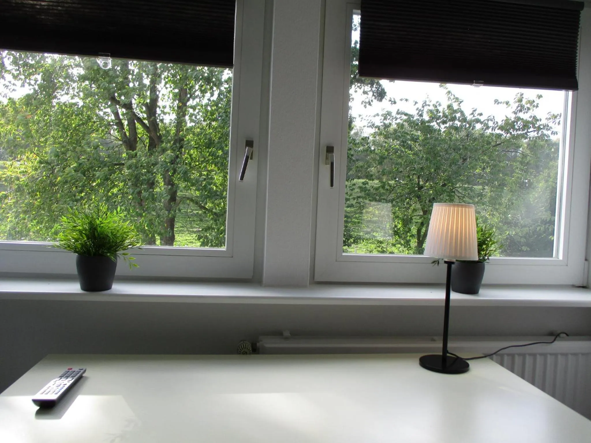 View (from property/room) in Best Pension