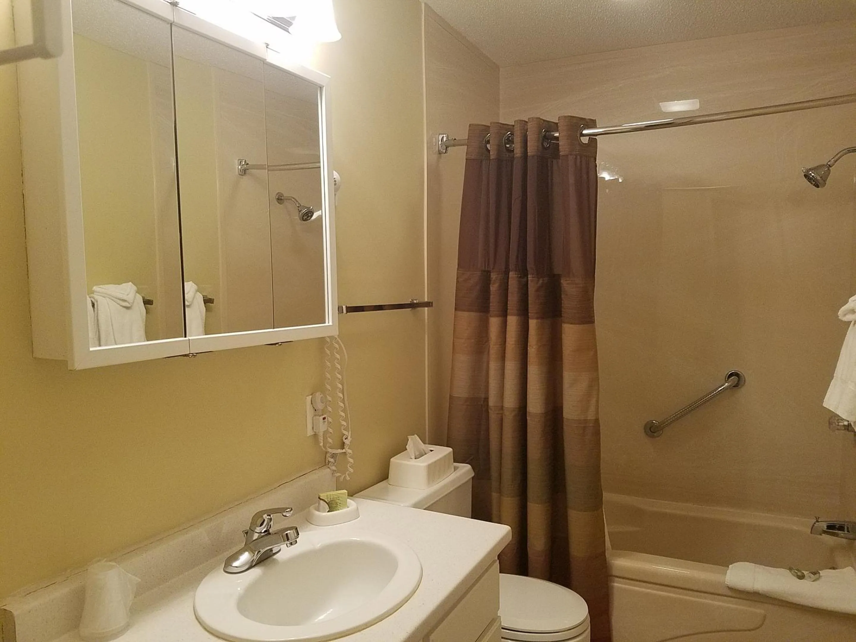 Village of Loon Mountain