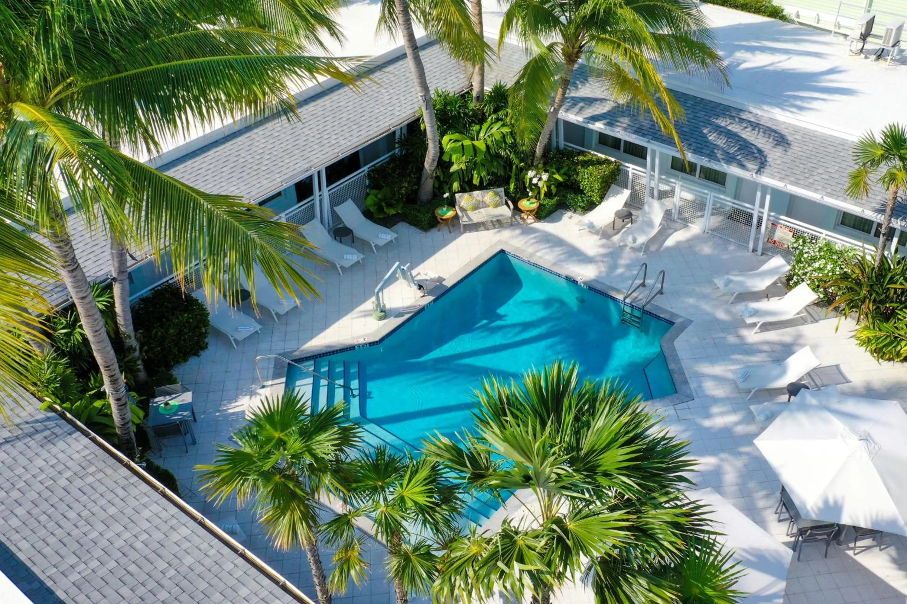Swimming pool in Orchid Key Inn - Adults Only