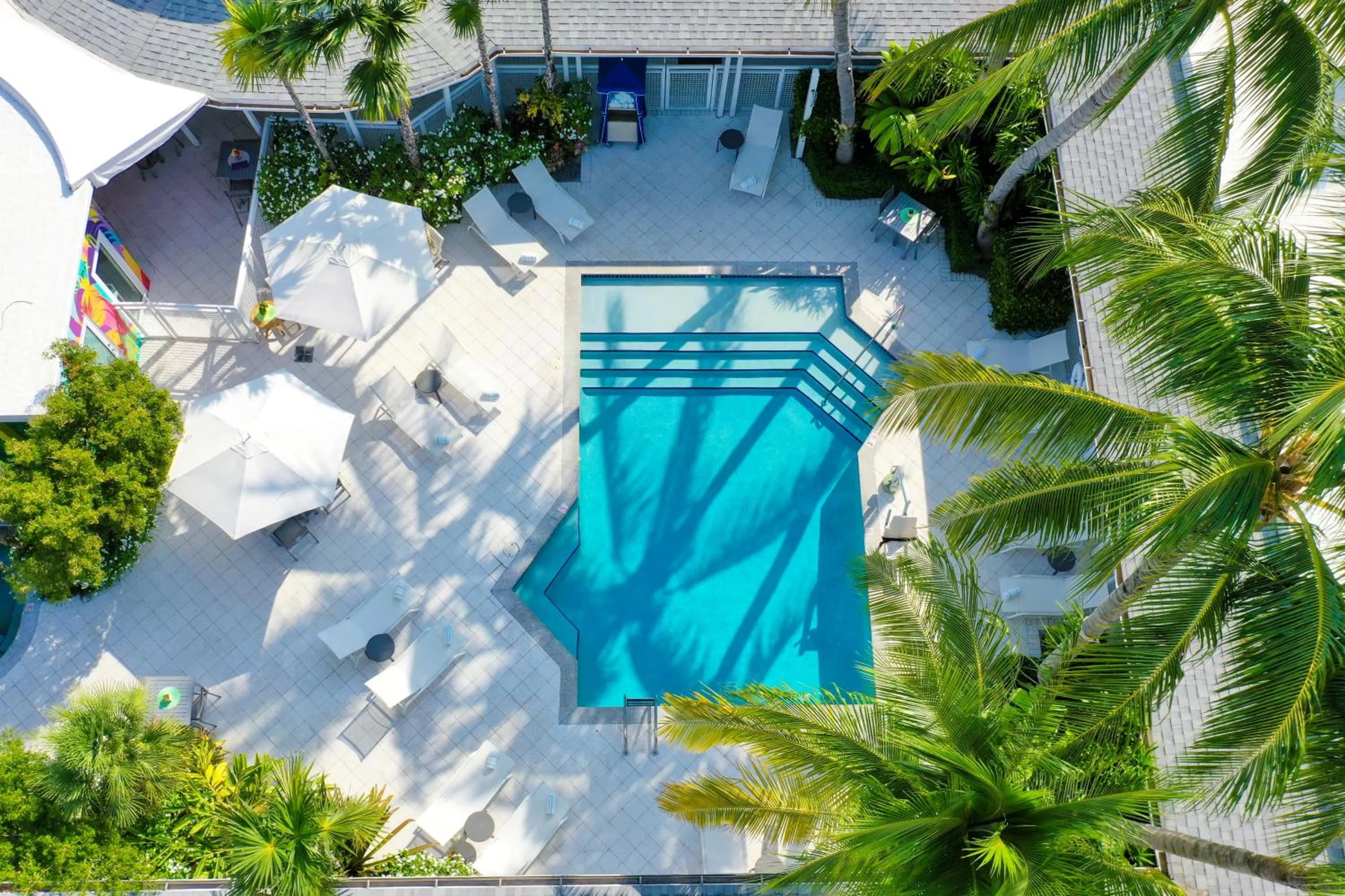 Swimming pool in Orchid Key Inn - Adults Only