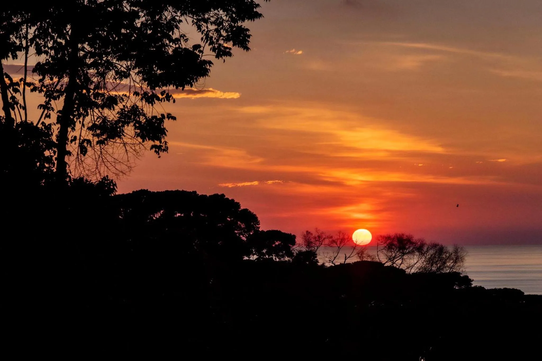 Natural landscape in Villas Alturas