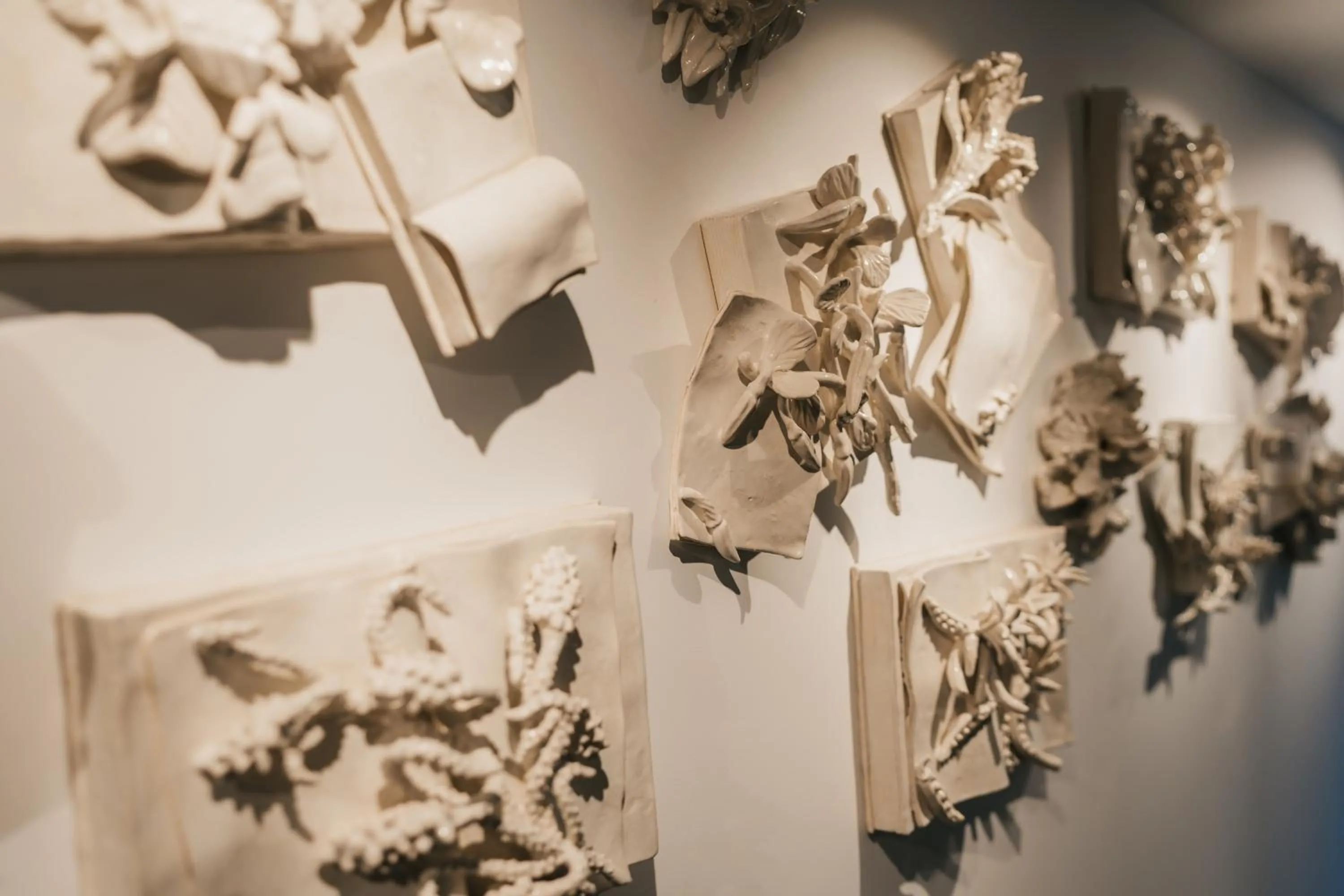 Casa do Parque Nature & Heritage Hotel