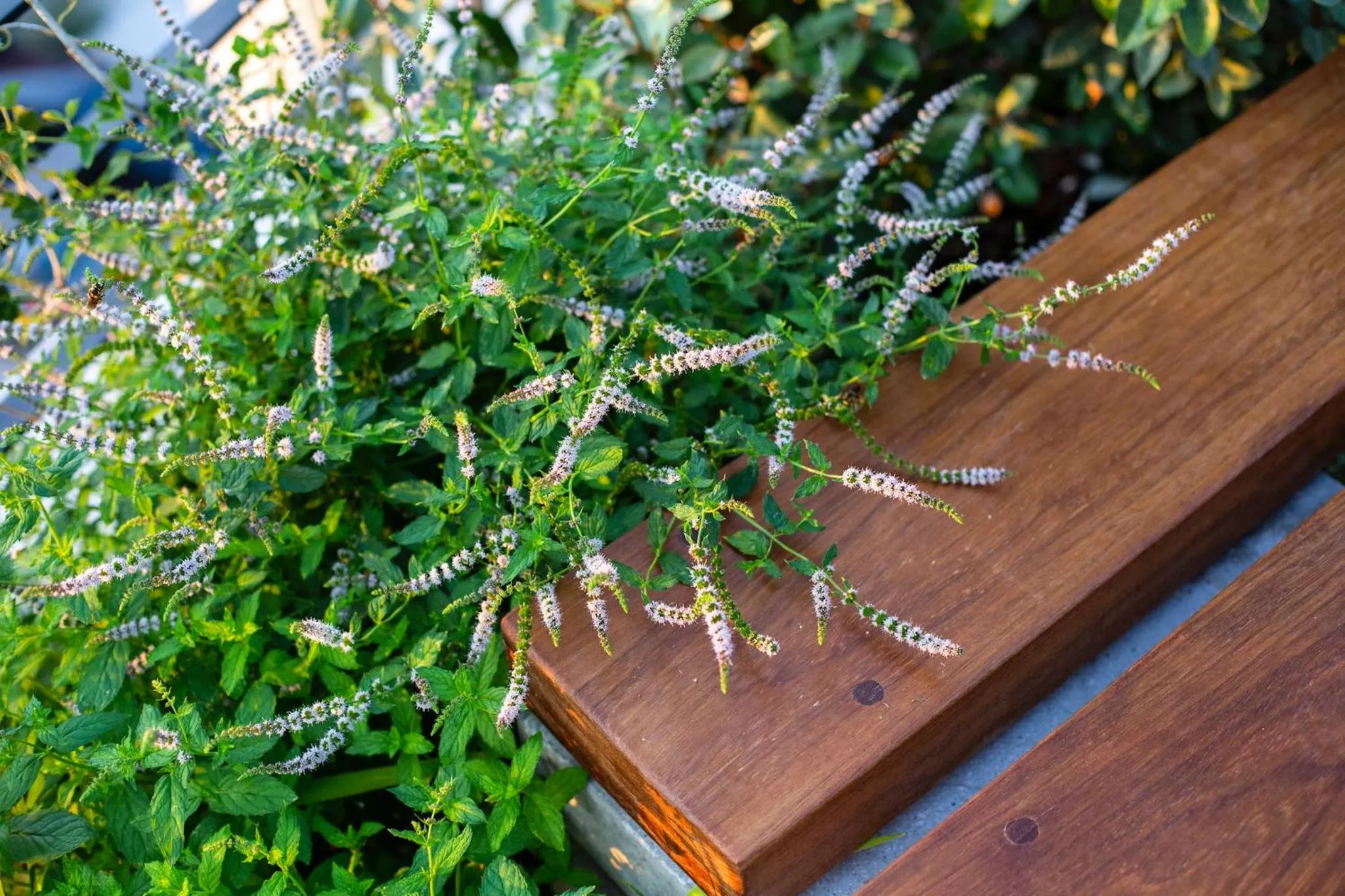 Decorative detail in The Foundry Suites