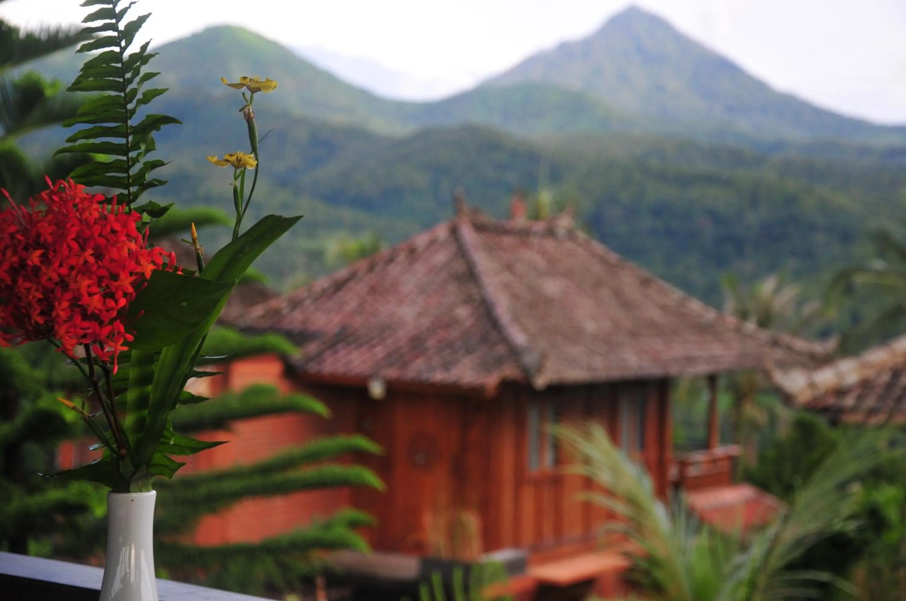 Natural landscape in Puri Sunny Munduk , North Bali