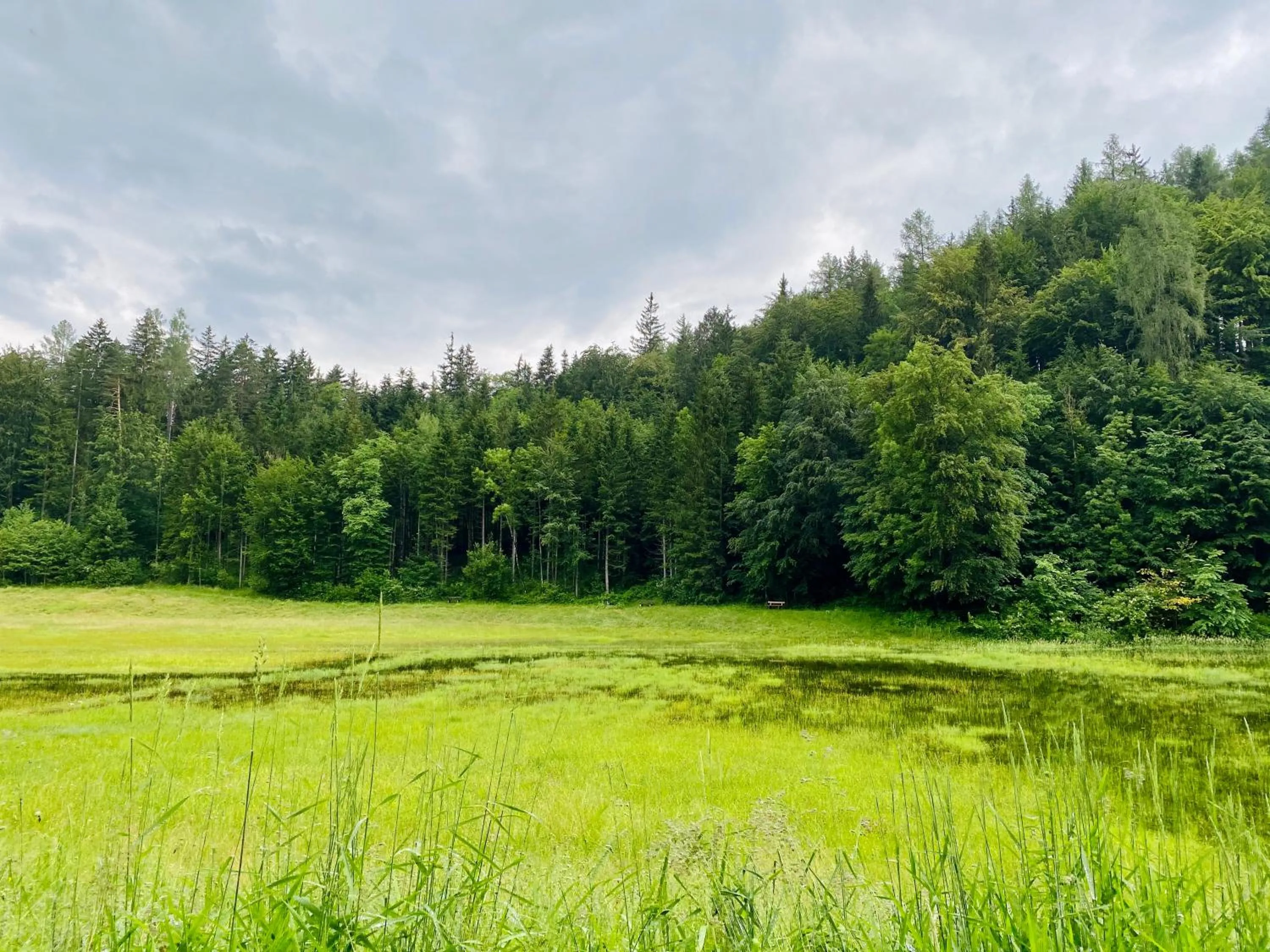 Staff in Hotel Vötterl