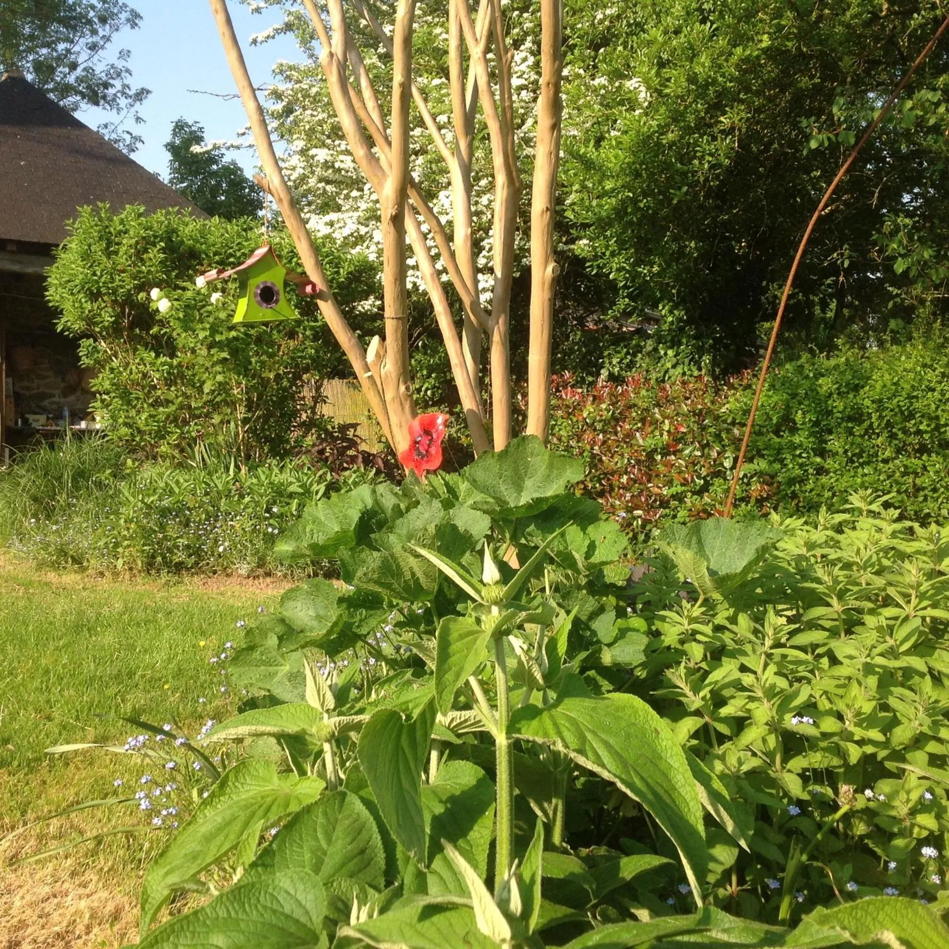 Garden view in Au Pont Ricoul