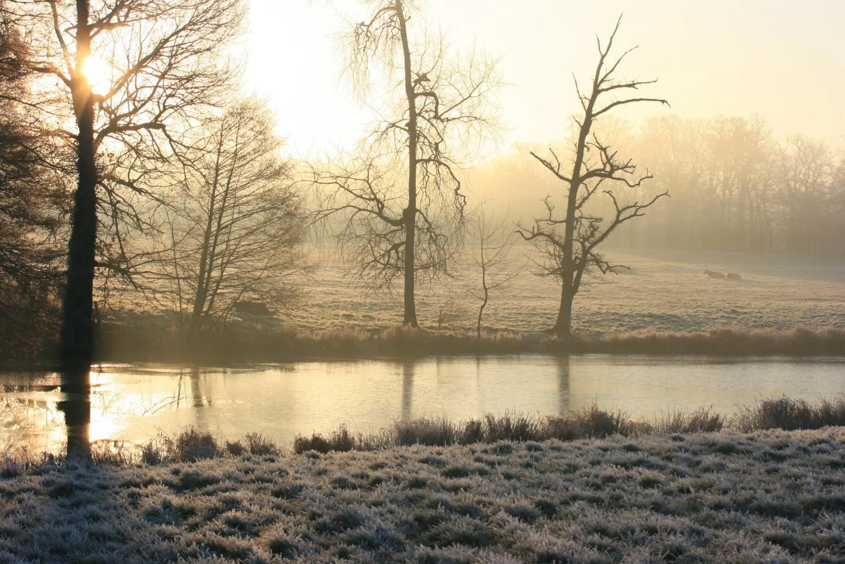 Area and facilities in Au Pont Ricoul