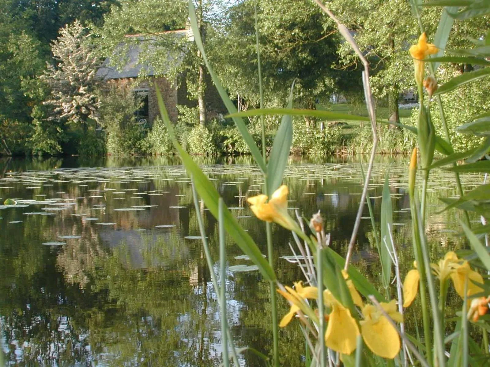 River view in Au Pont Ricoul